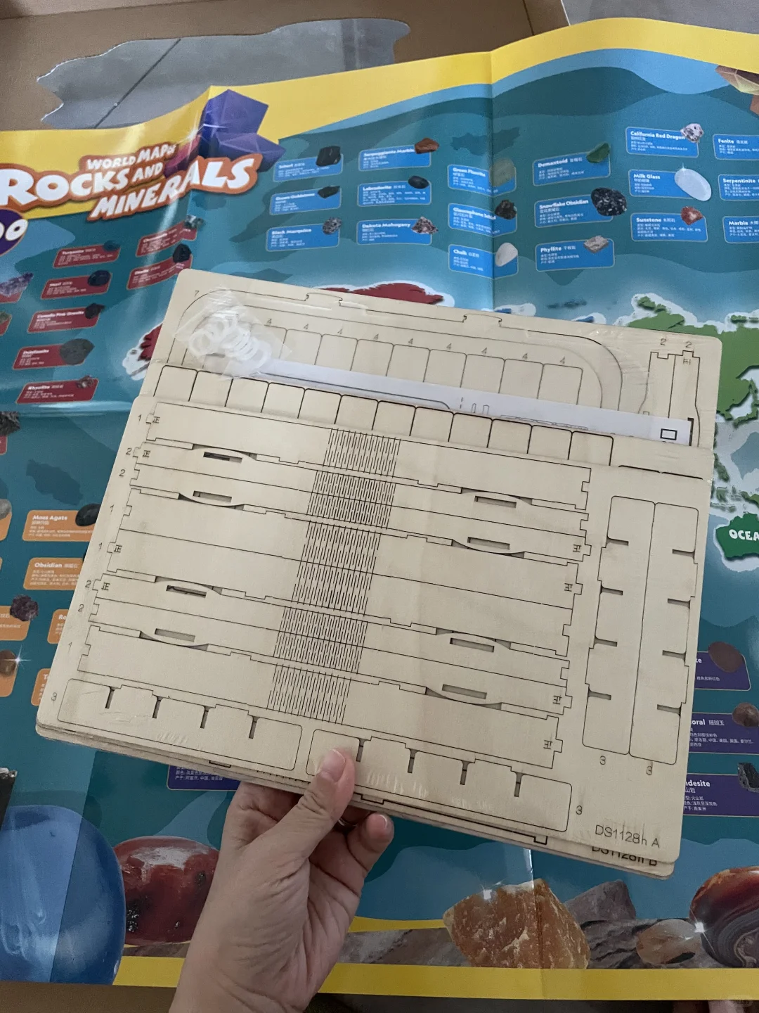 ?哇！山姆这石头也太好看了！