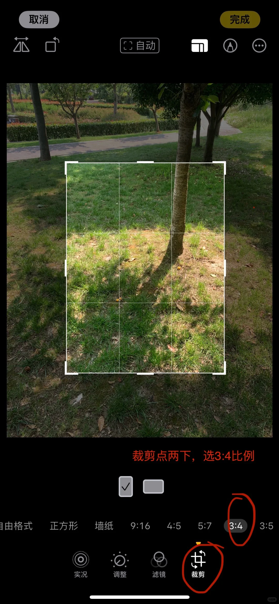 二次构图➕滤镜拯救了相册里一半的废片