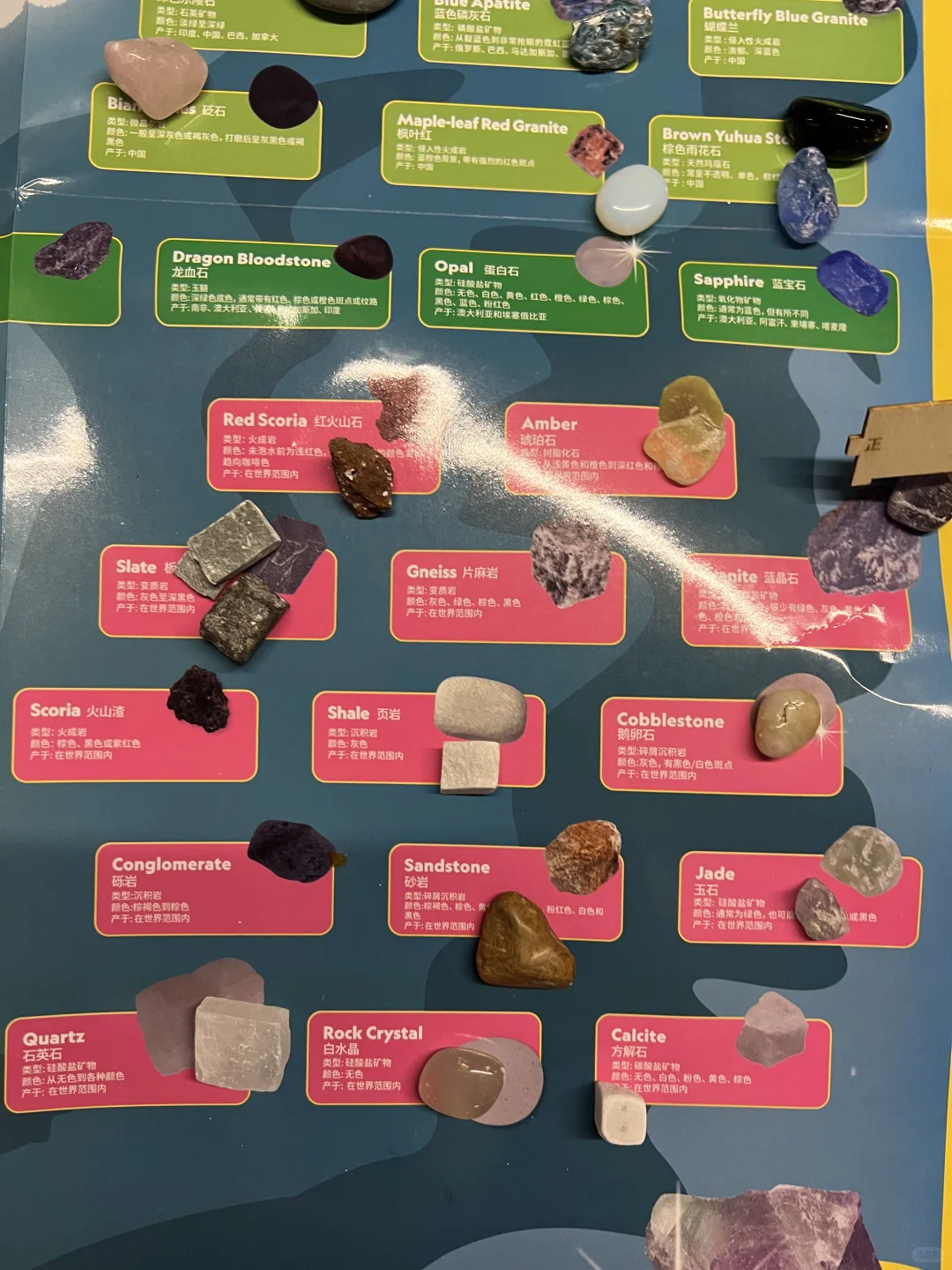 山姆 国家地理考古挖掘套装 小朋友超爱❤️～