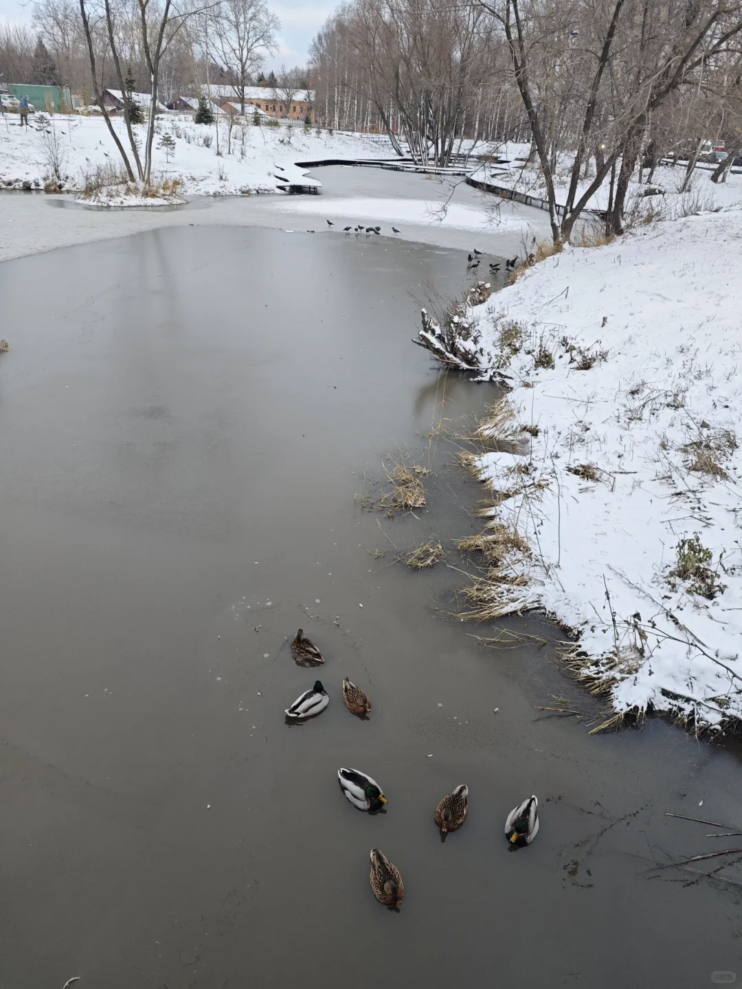 俄罗斯俄语翻译设备安装调试出差