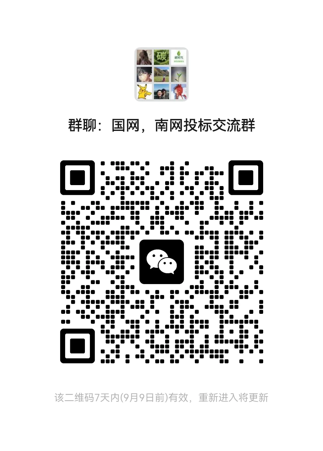 国网，南网投标交流群