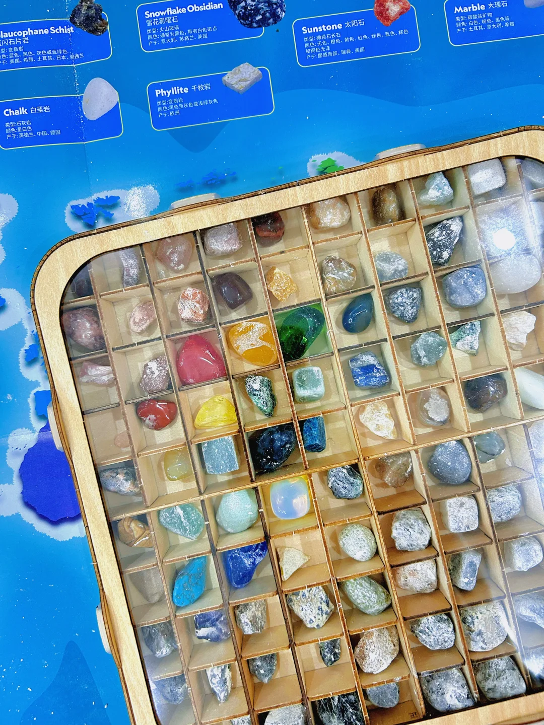 试试山姆国家地理考古套装！适合成年小孩玩