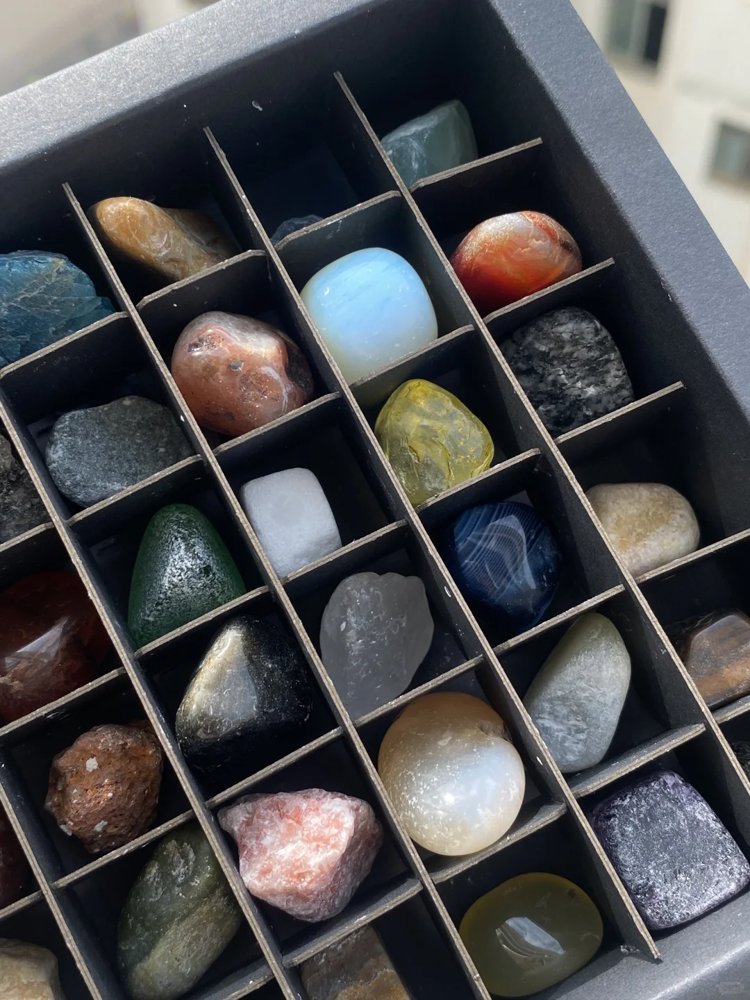 邪修挖宝就是快！！?