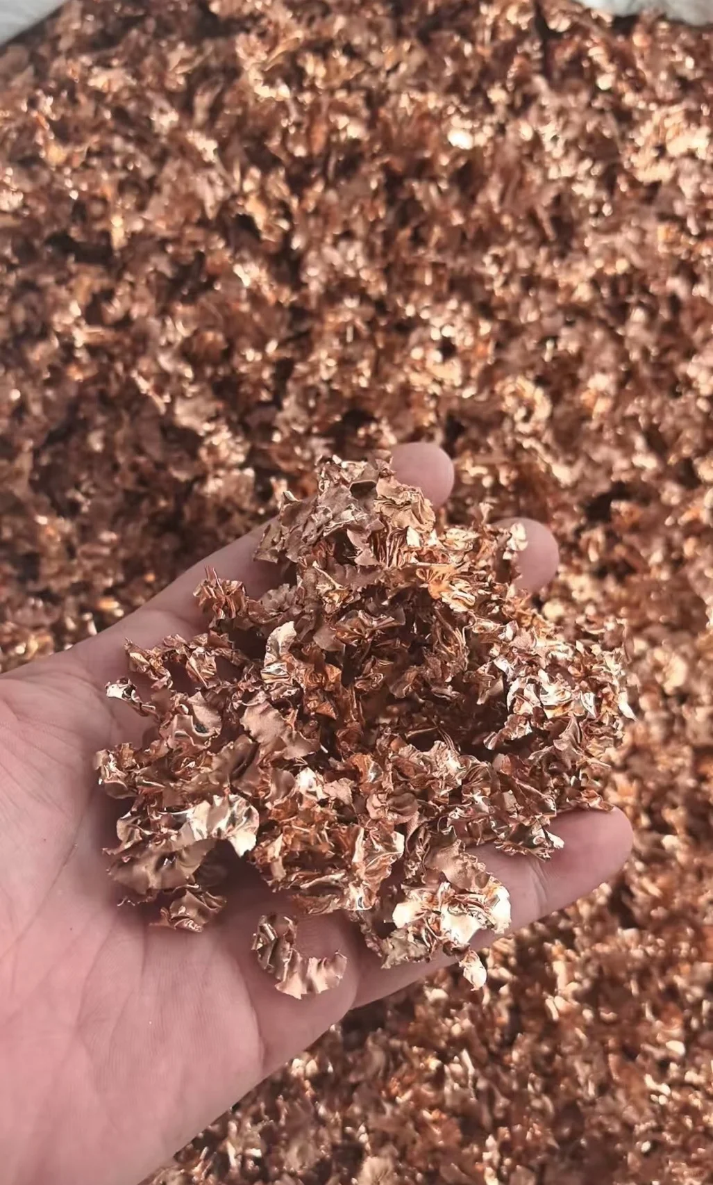 废品行业没人说的大实话！这样收废品稳赚！