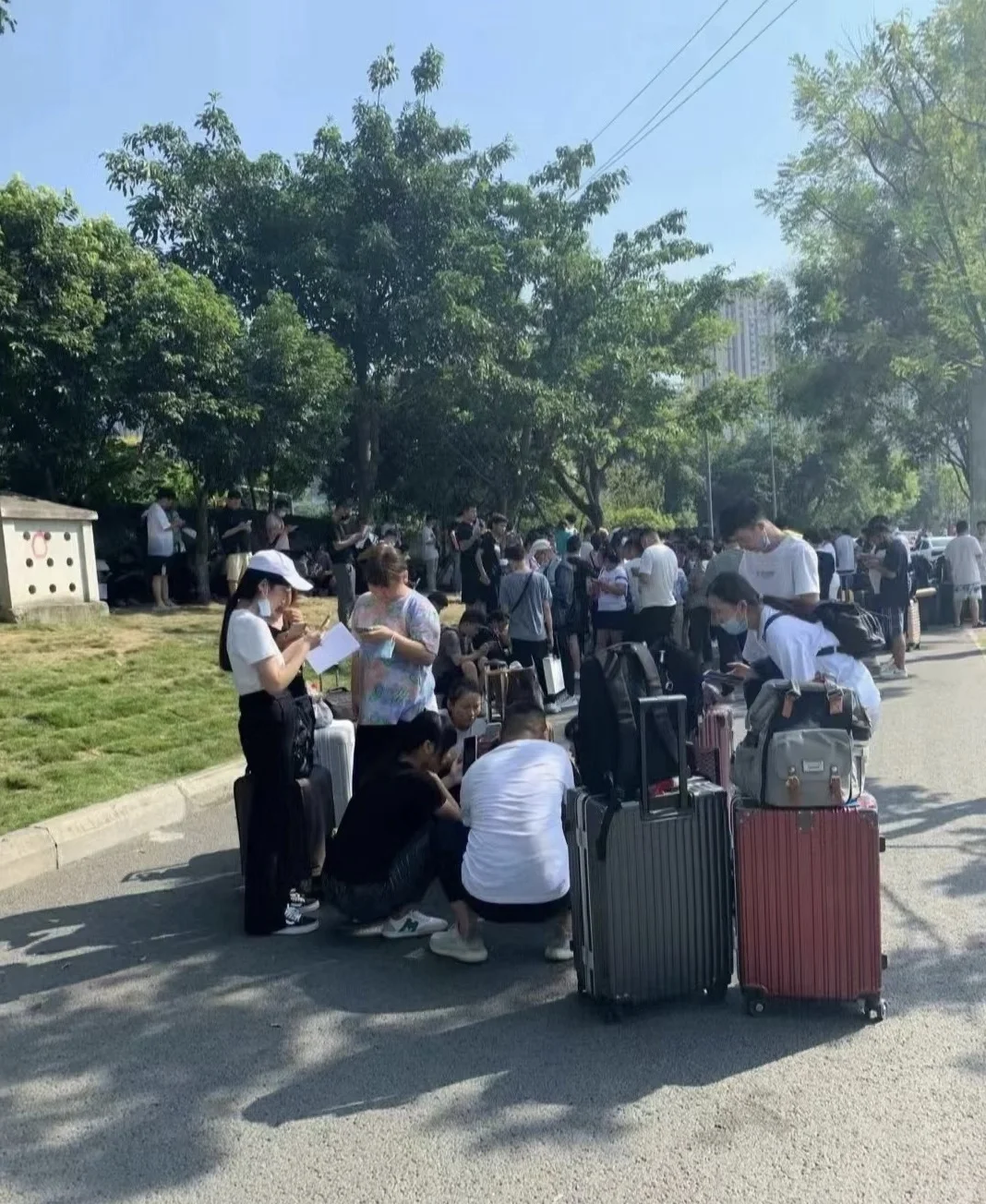 保定适合女生的厂，坐岗！