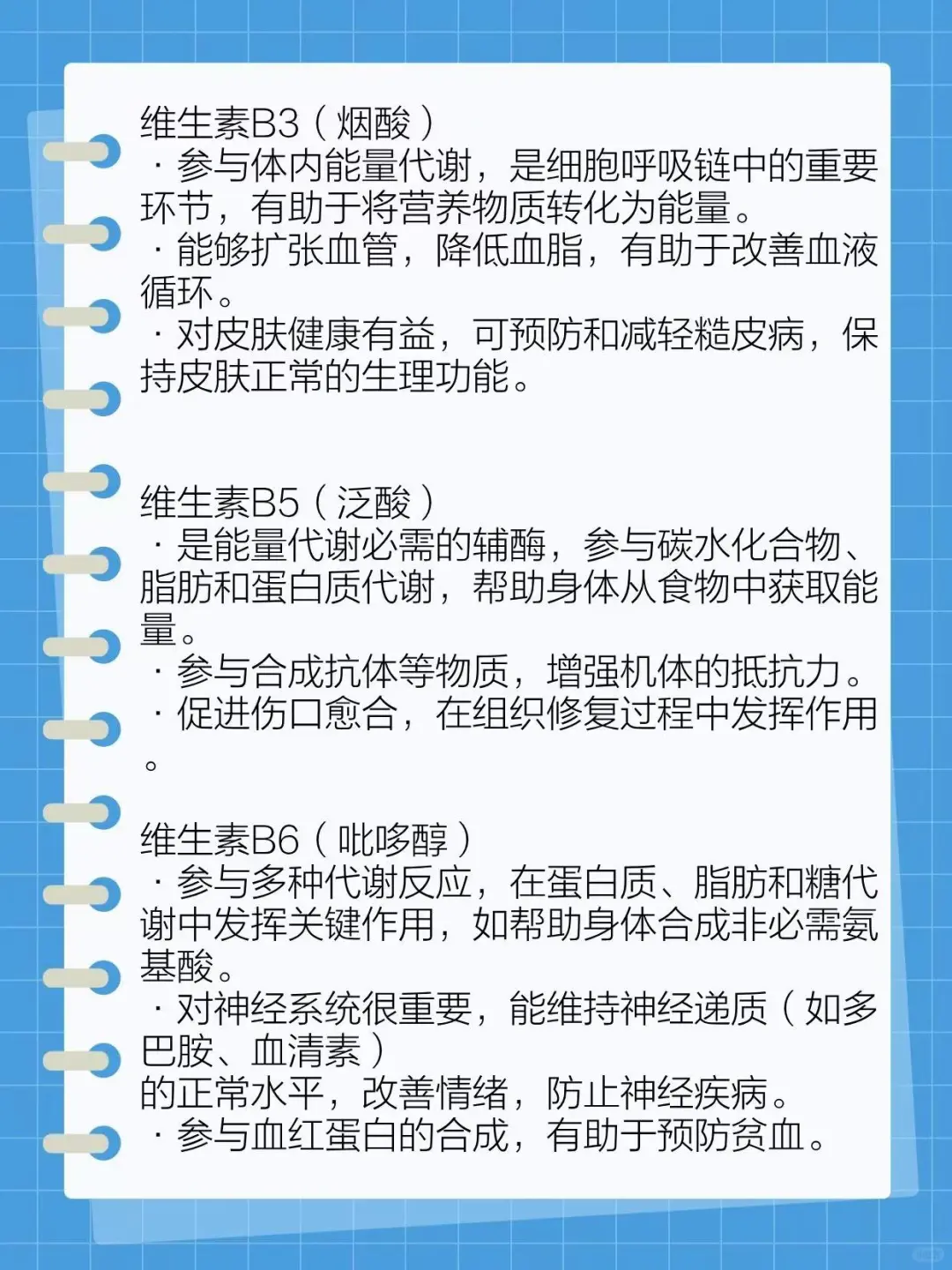 ? b族维生素对人体到底有什么好处