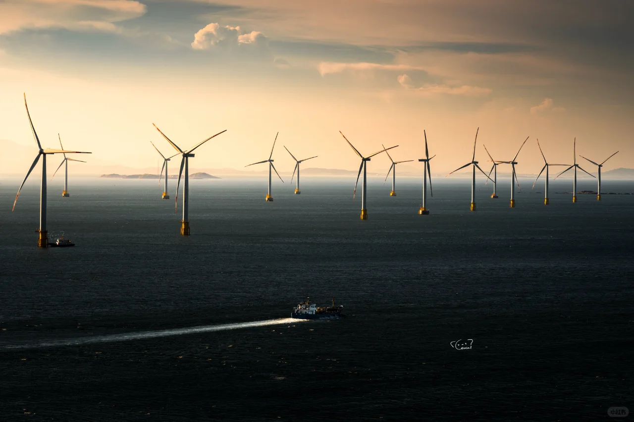 「能源之光」丨官方影展