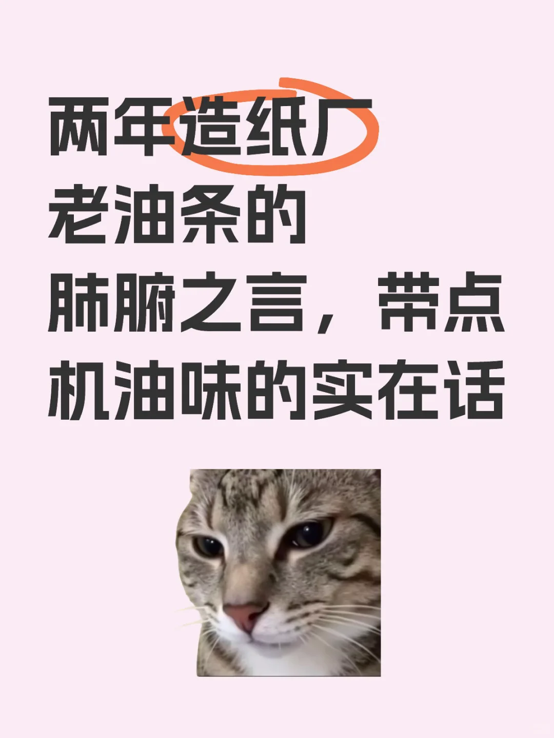 两年造纸厂老油条的肺腑之言，带点机油味的