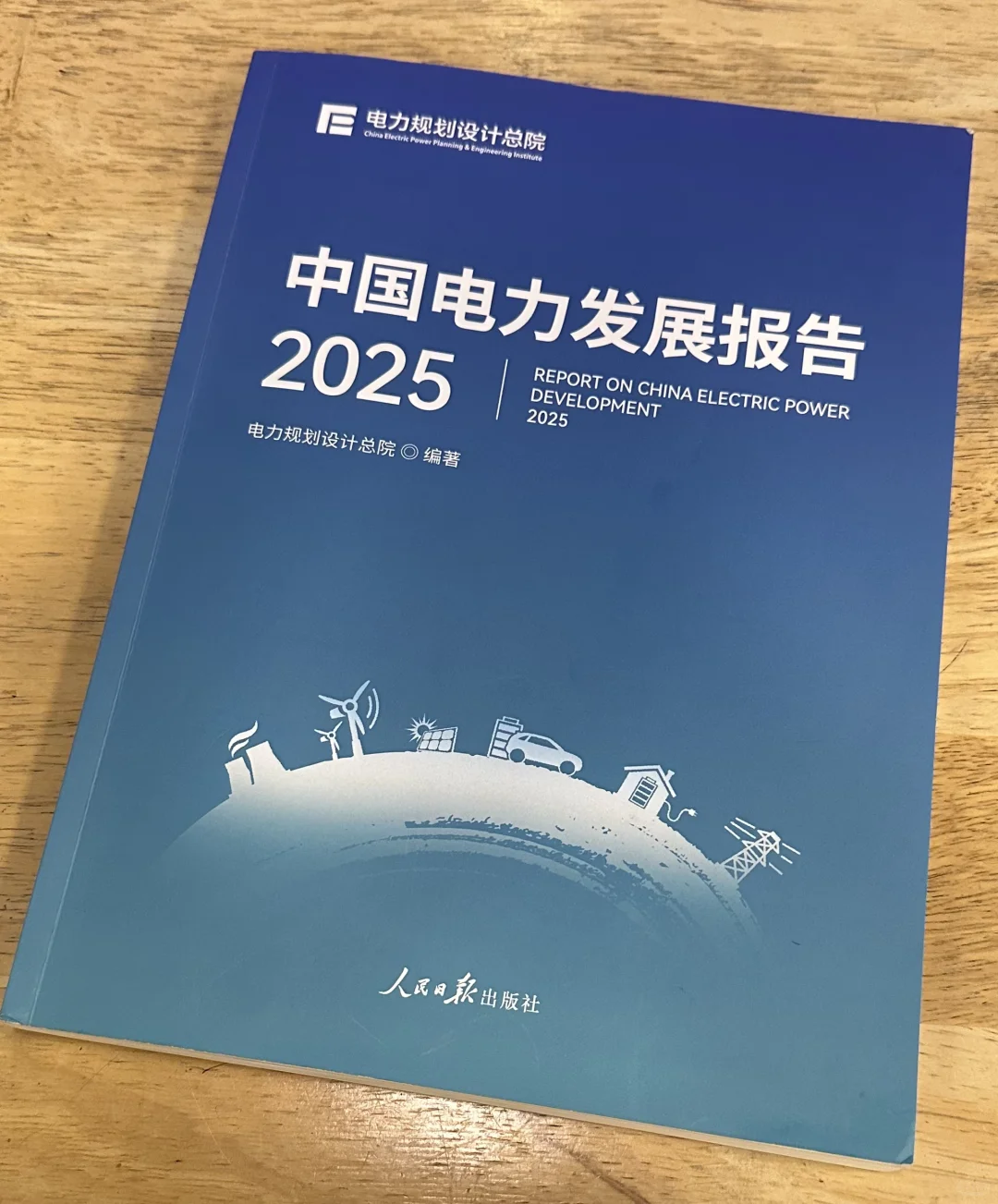 读书2025-24：中国电力发展报告2025