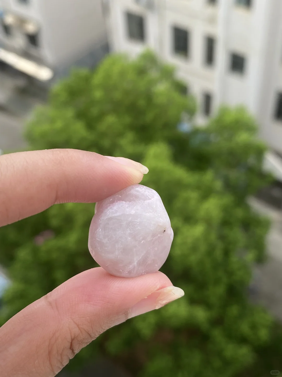 邪修挖宝就是快！！?