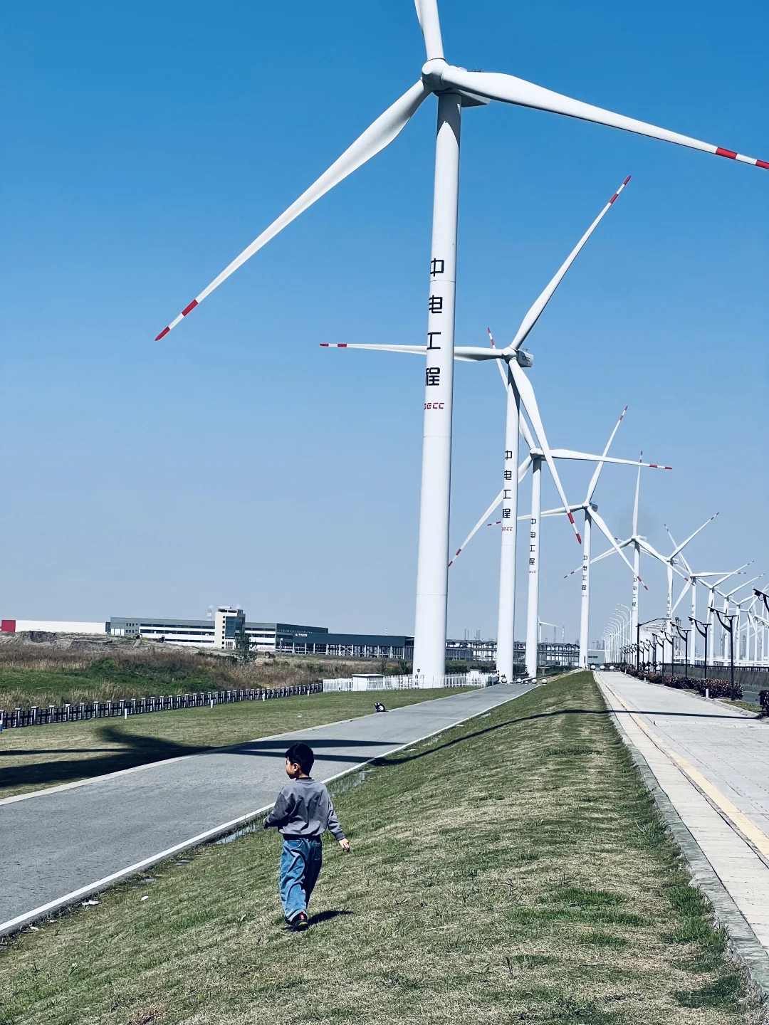 带孩子了解风力发电机。