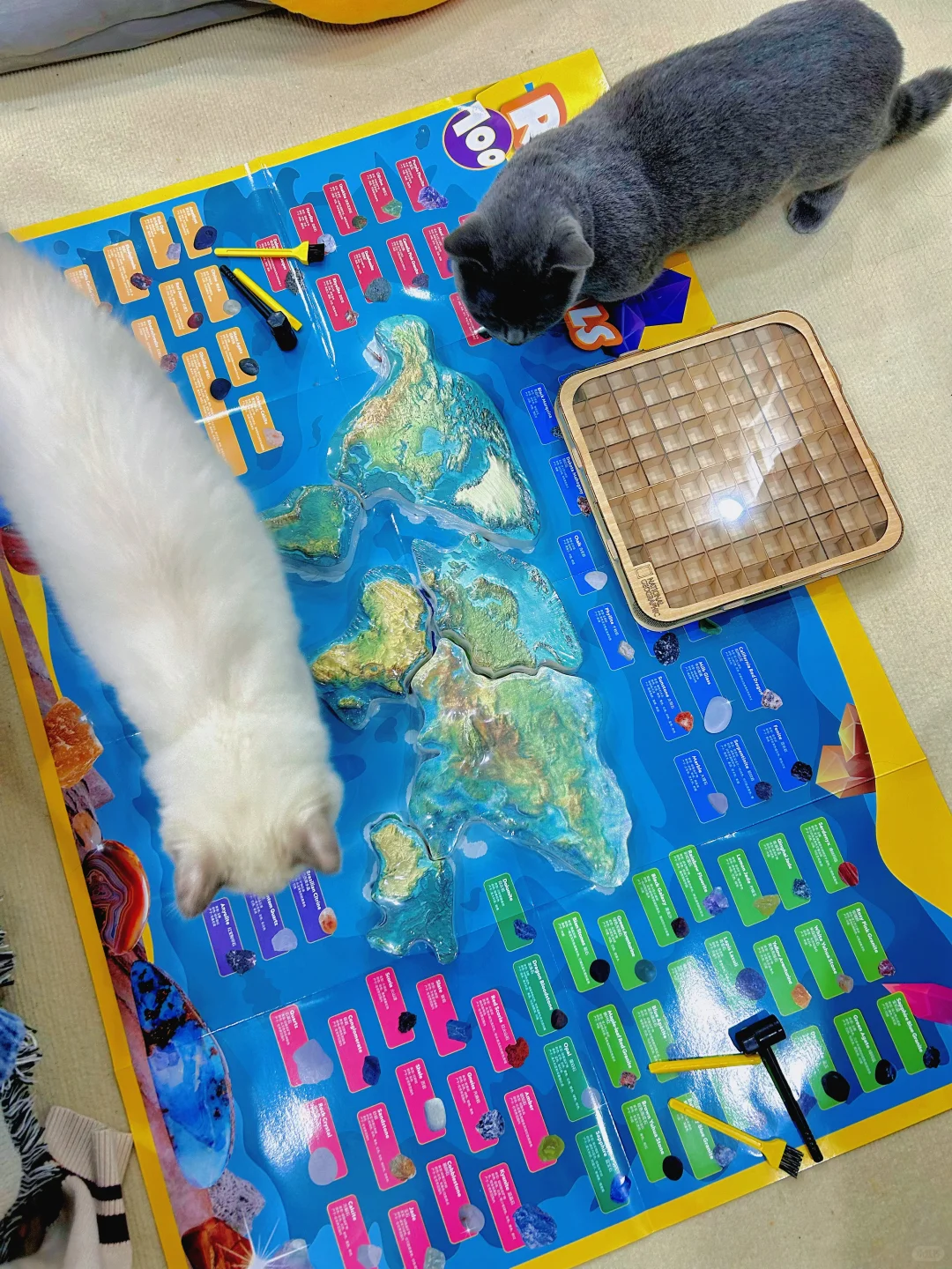 试试山姆国家地理考古套装！适合成年小孩玩