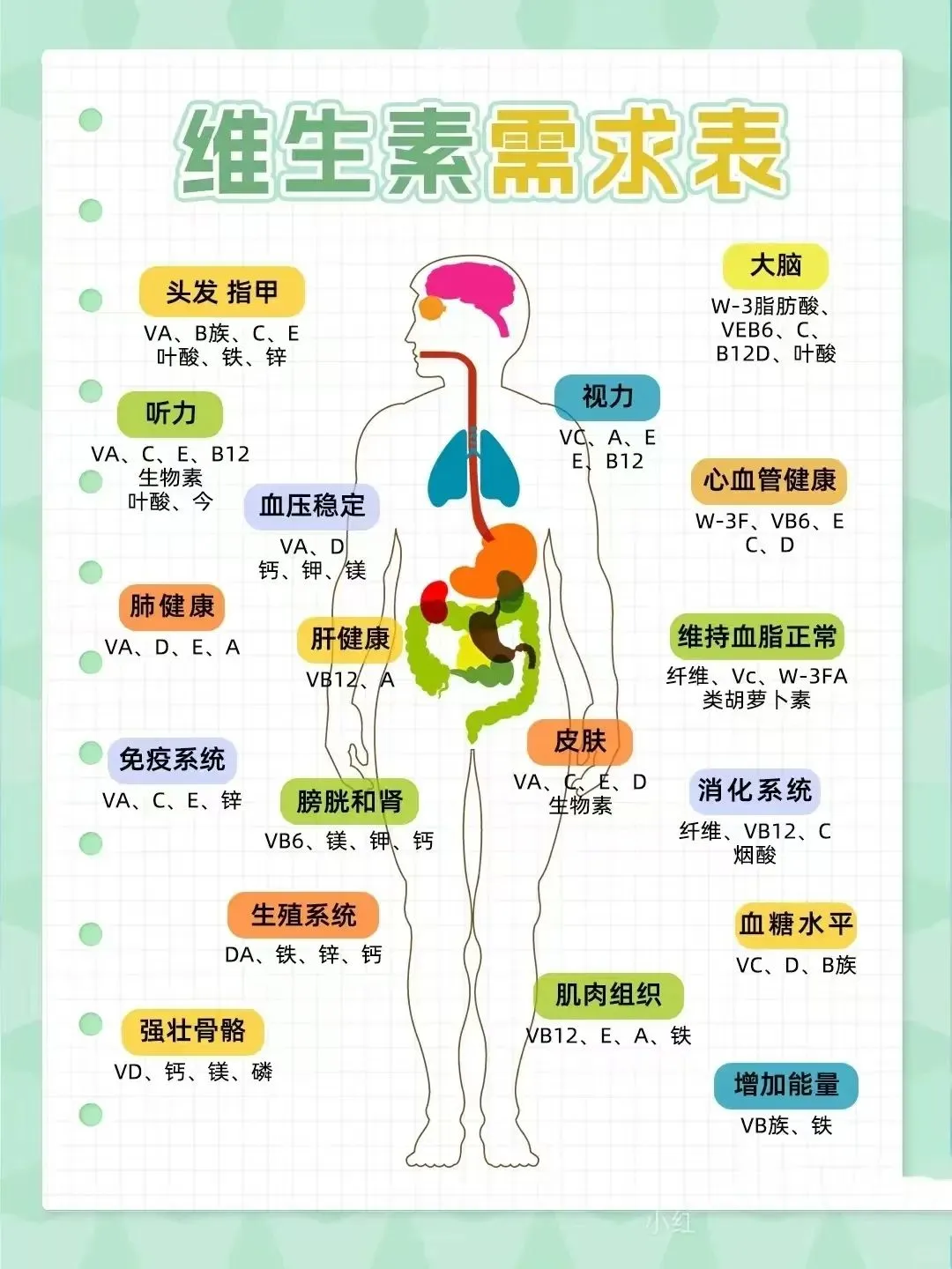 身体各部位的“专属营养需求”