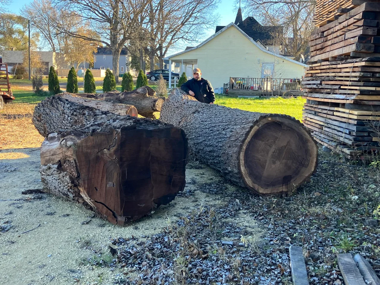 这就是黑胡桃木