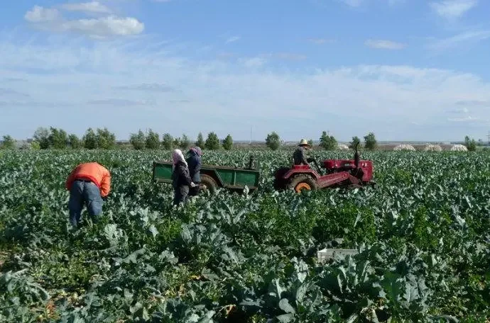 河北张家口张北县风光无限,发电量上百亿度