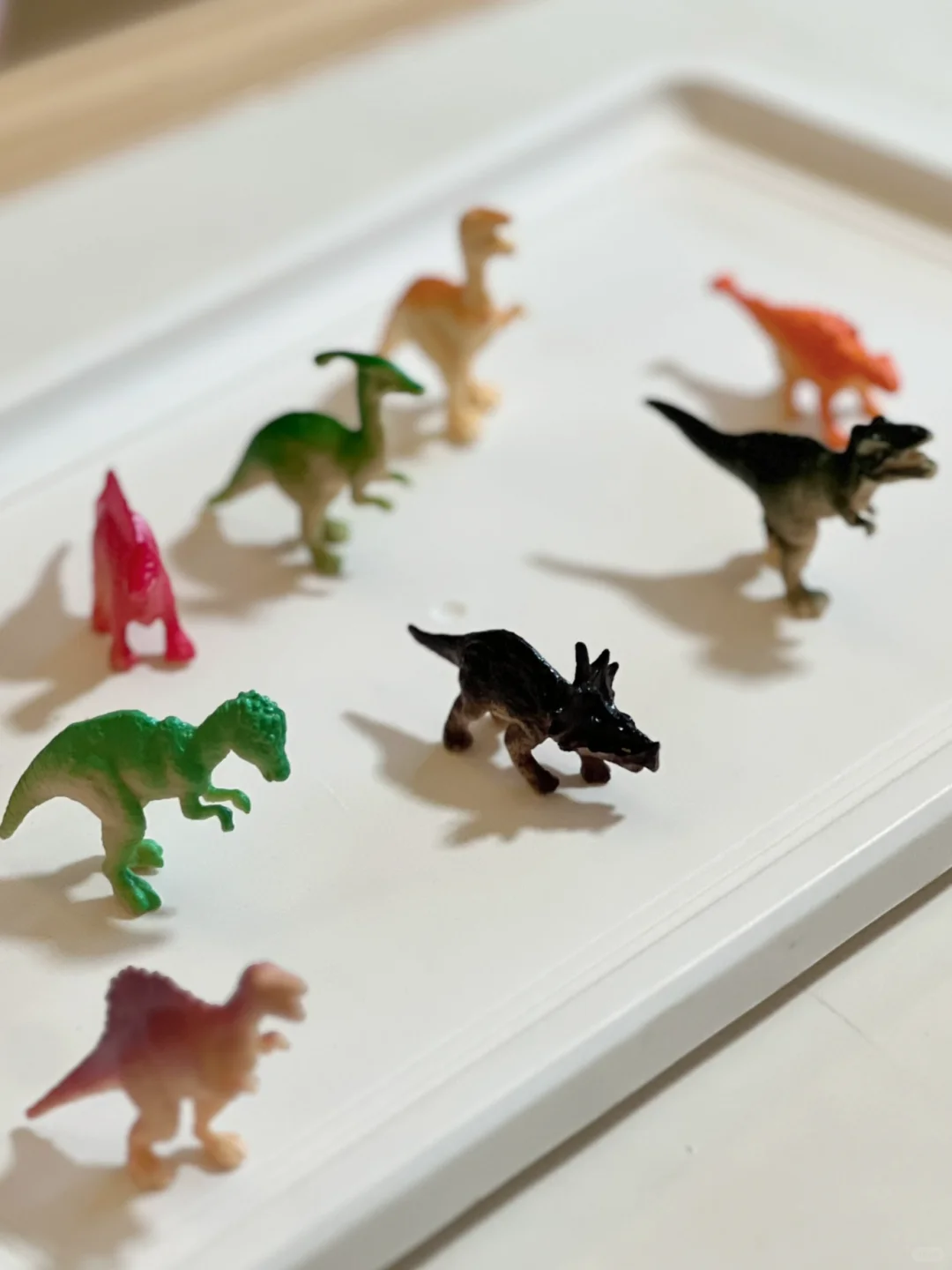 好绝的考古恐龙蛋?硬控小孩哥一小时+❗️