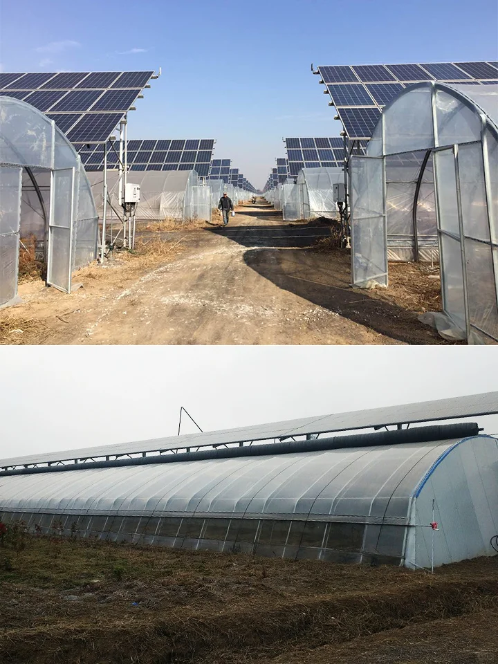 光伏鱼菜共生：上面光伏发电，下面种菜养鱼