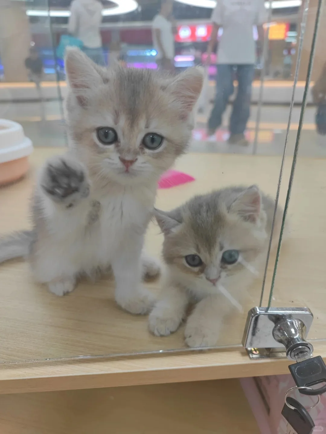 健康管理师工作