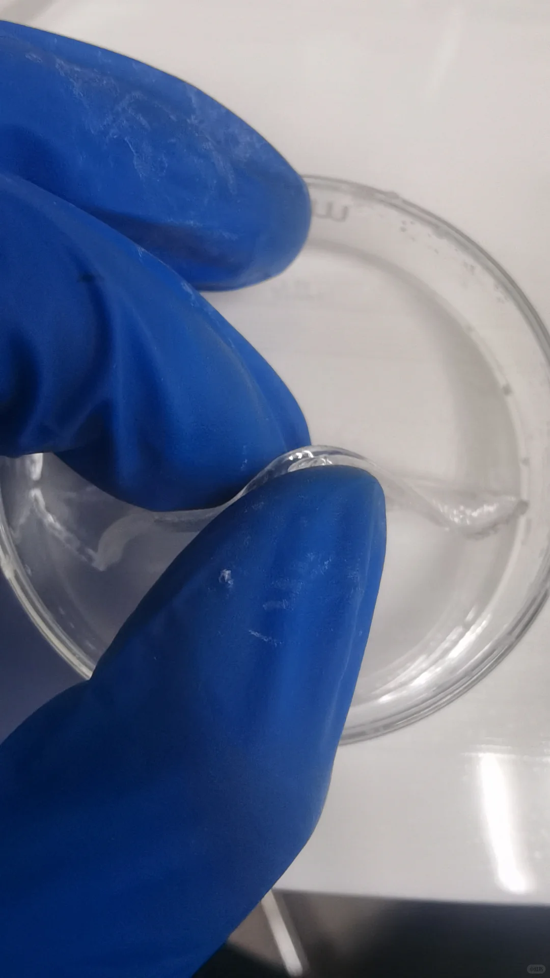 聚丙烯酰胺水凝胶电解质水系锌电