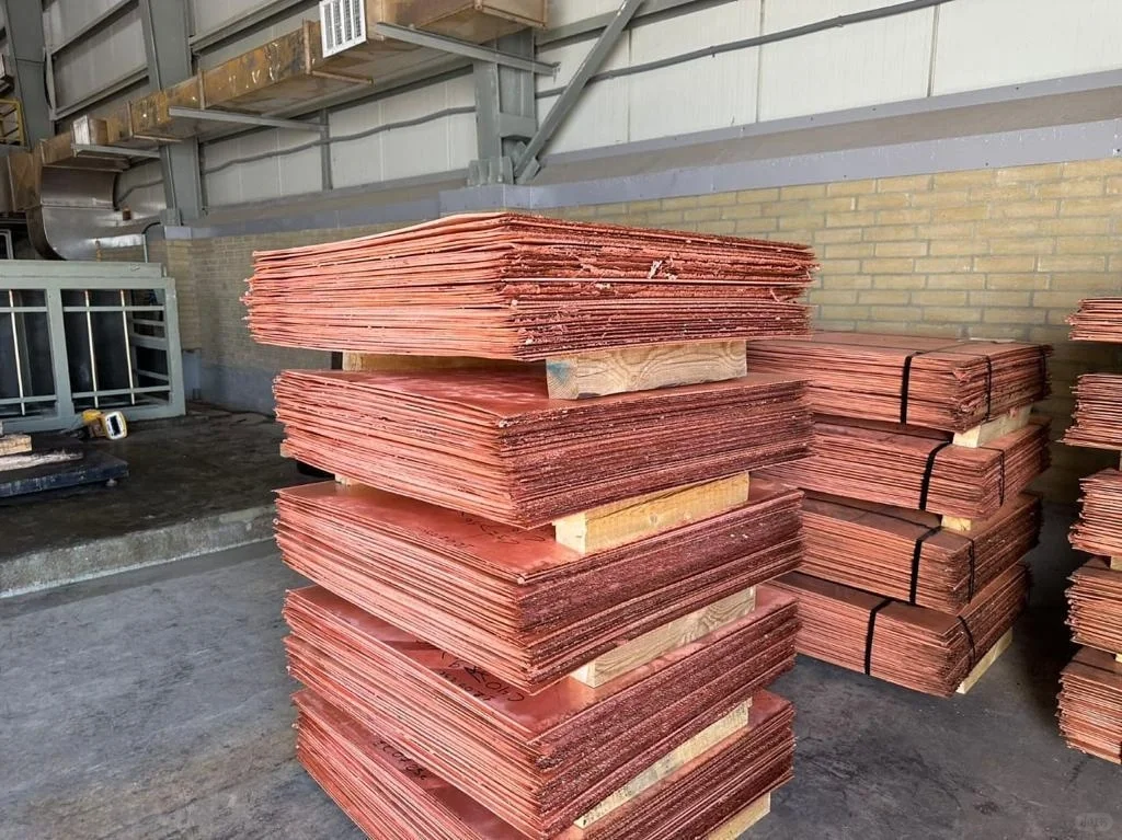 大宗贸易可以聊一下