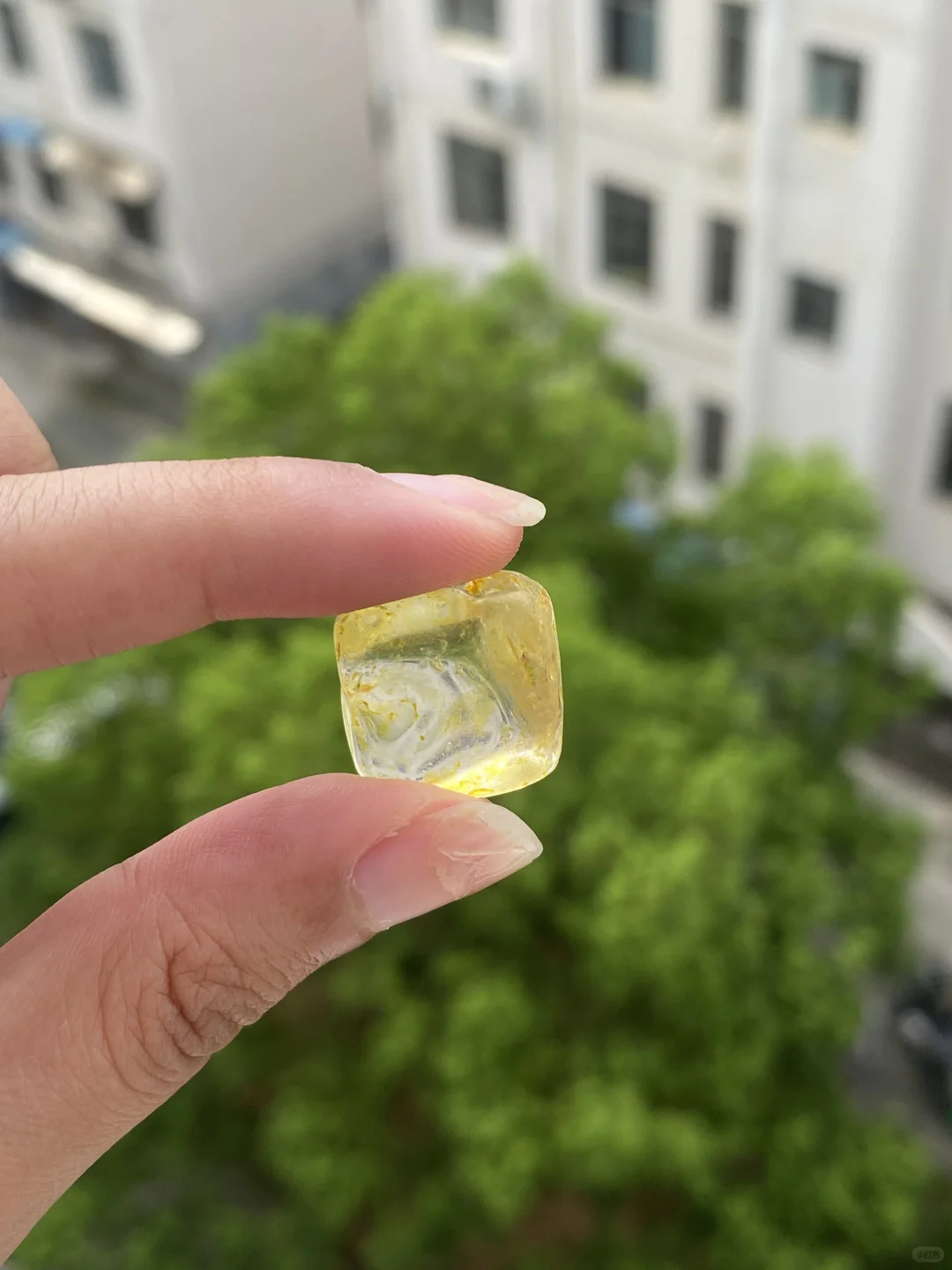 邪修挖宝就是快！！?