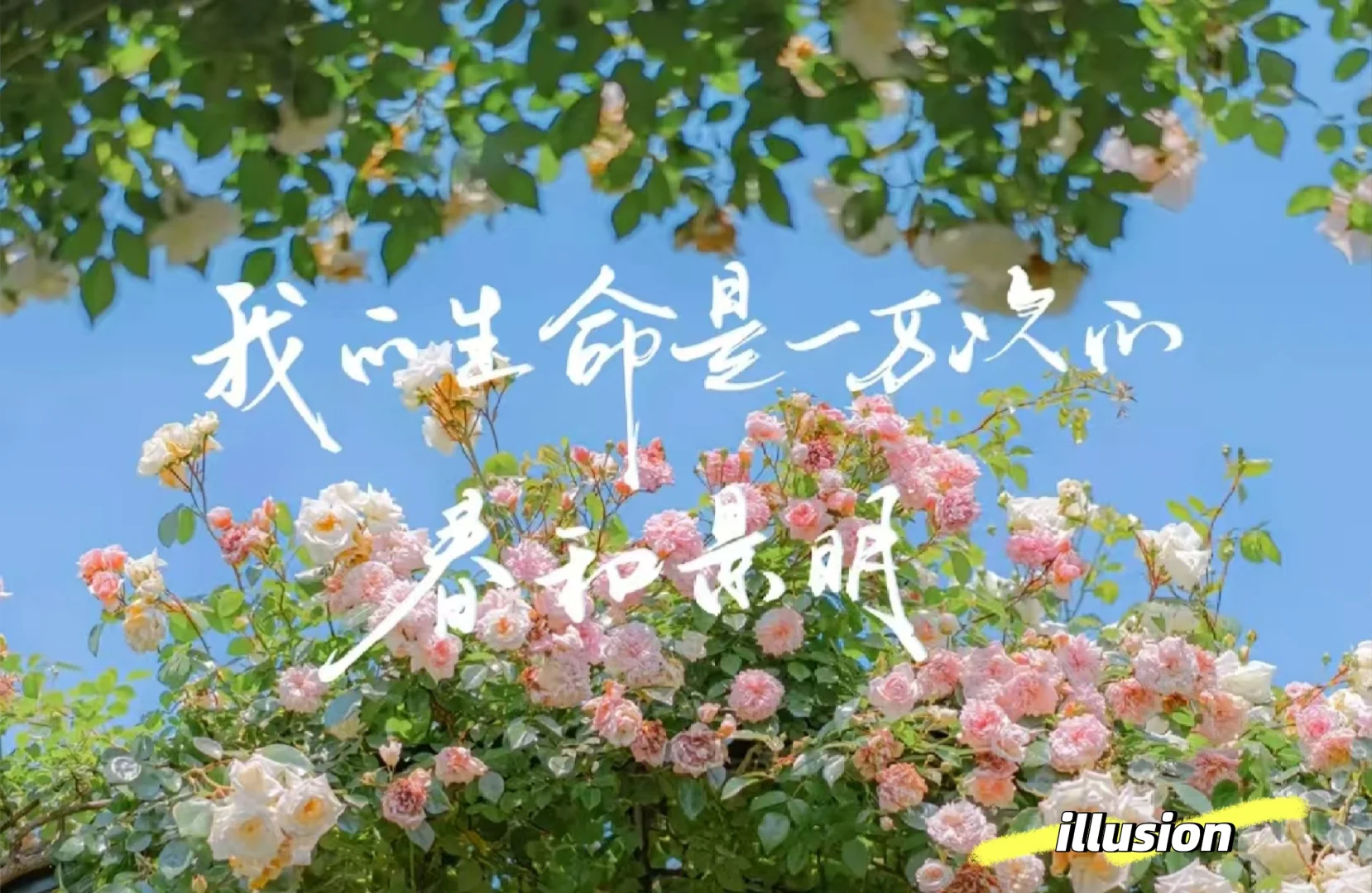 我生命是一万次的春和景明