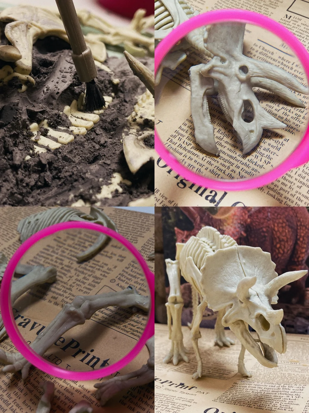 在家体验恐龙考古挖掘?（可拼搭）