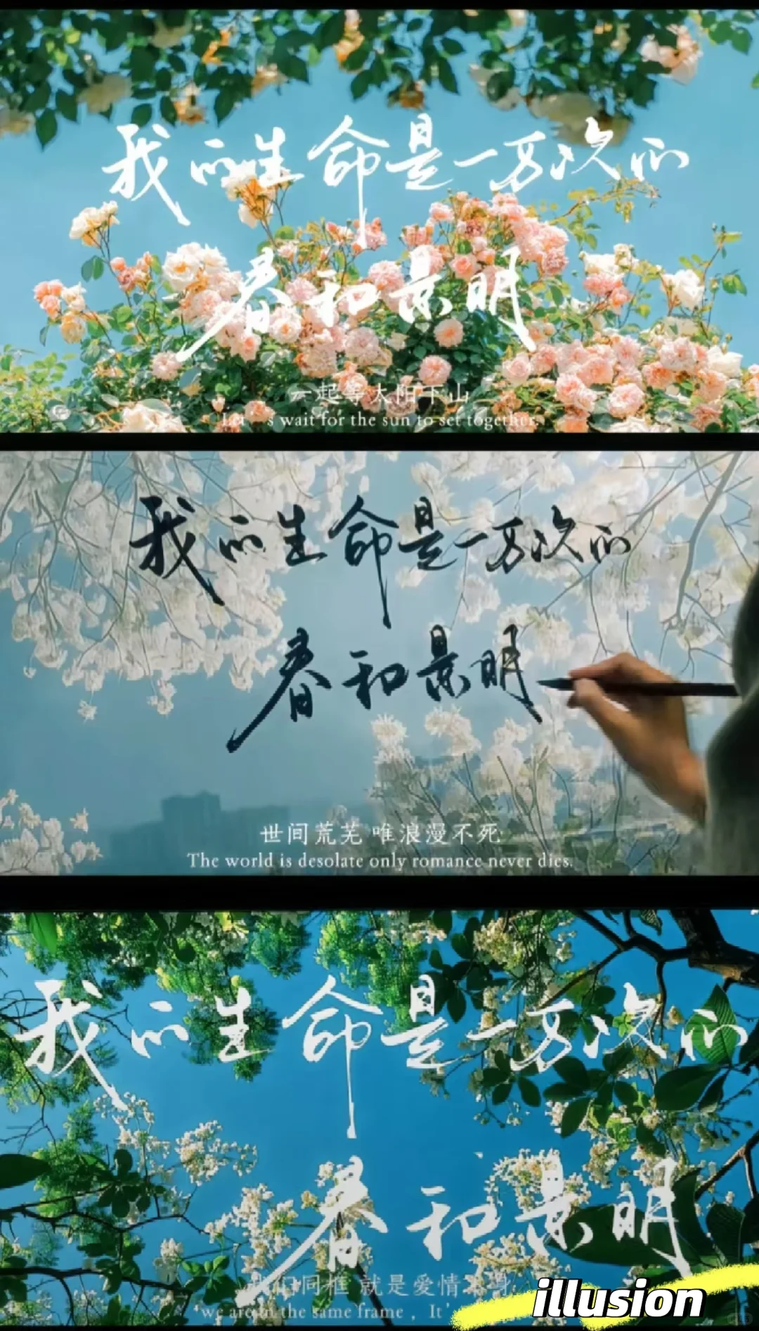 我生命是一万次的春和景明