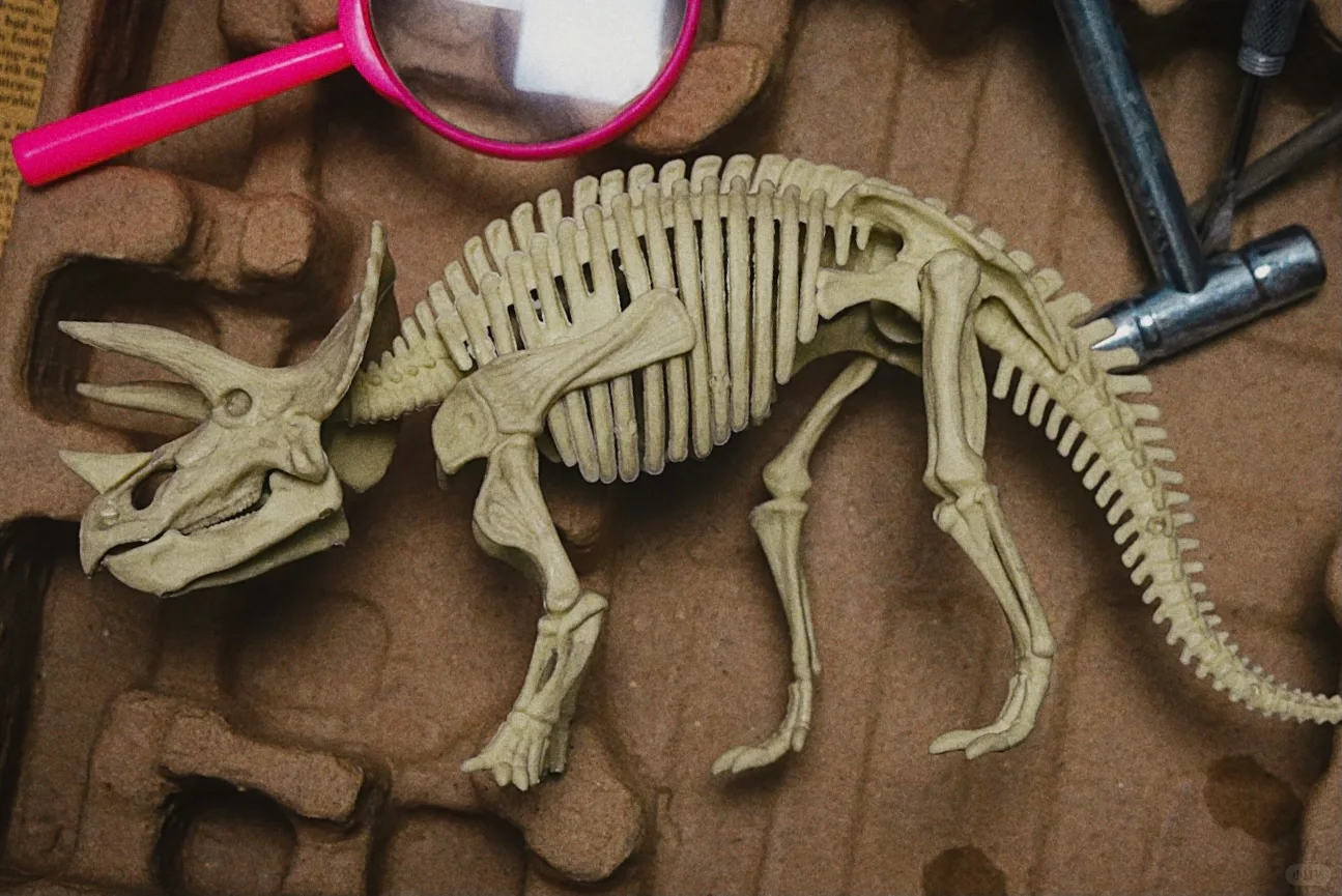 在家体验恐龙考古挖掘?（可拼搭）
