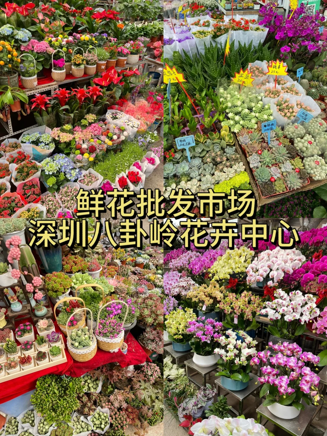 来深圳必逛的几个批发市场，建议空手来哟❗