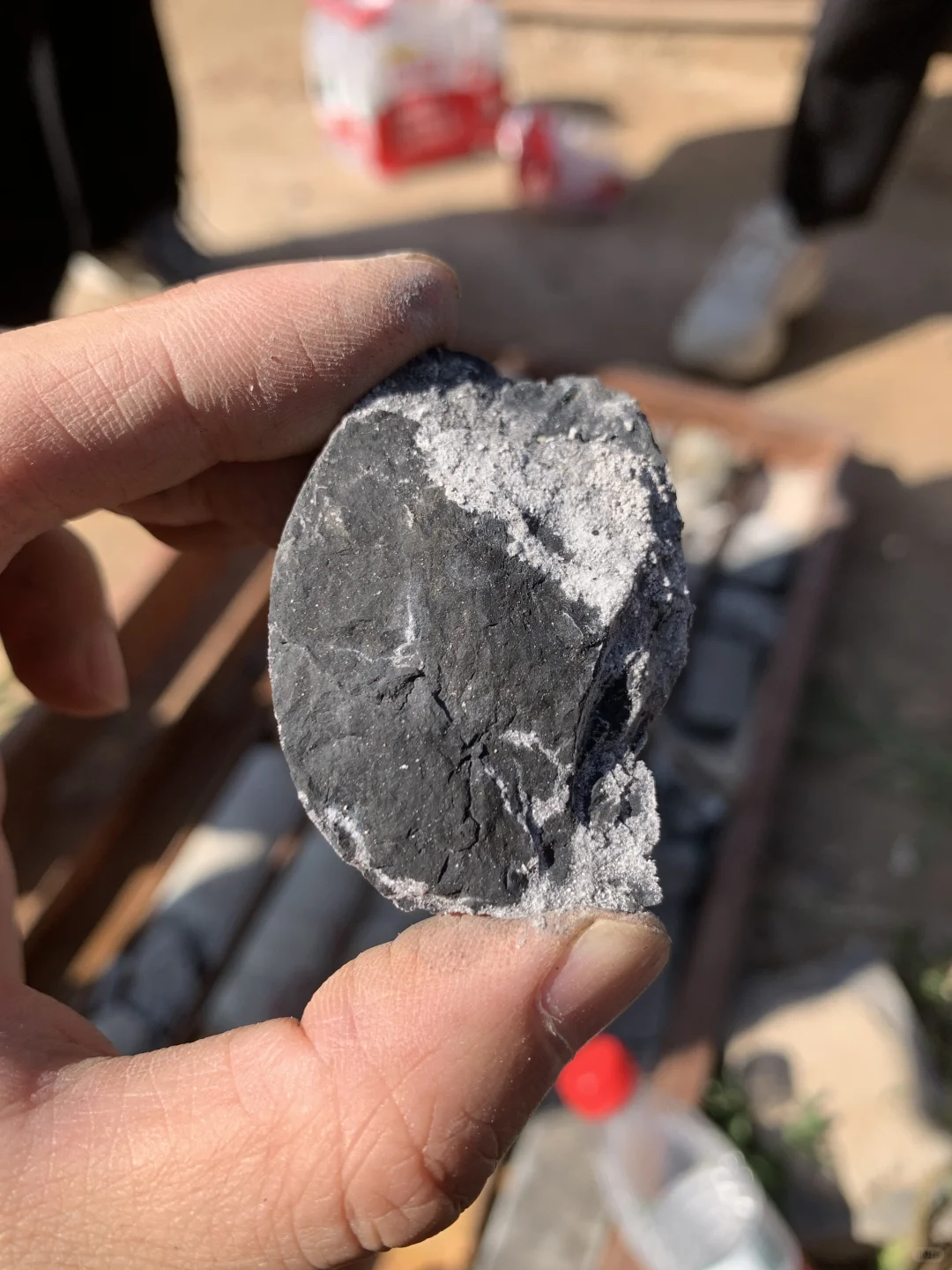 啥？黑色的铝土矿？