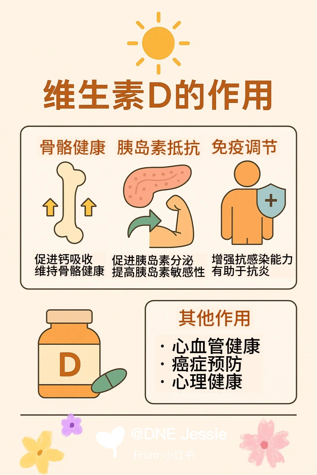 一图了解维生素D！