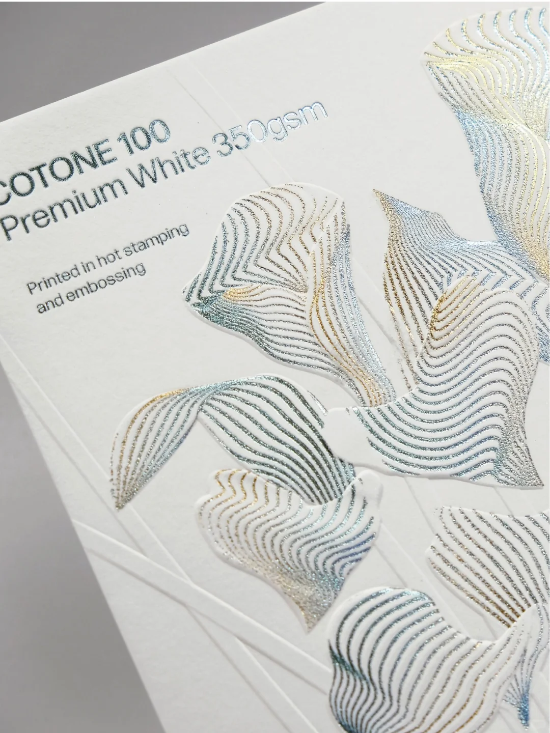 你永远可以相信奢侈品牌的审美！