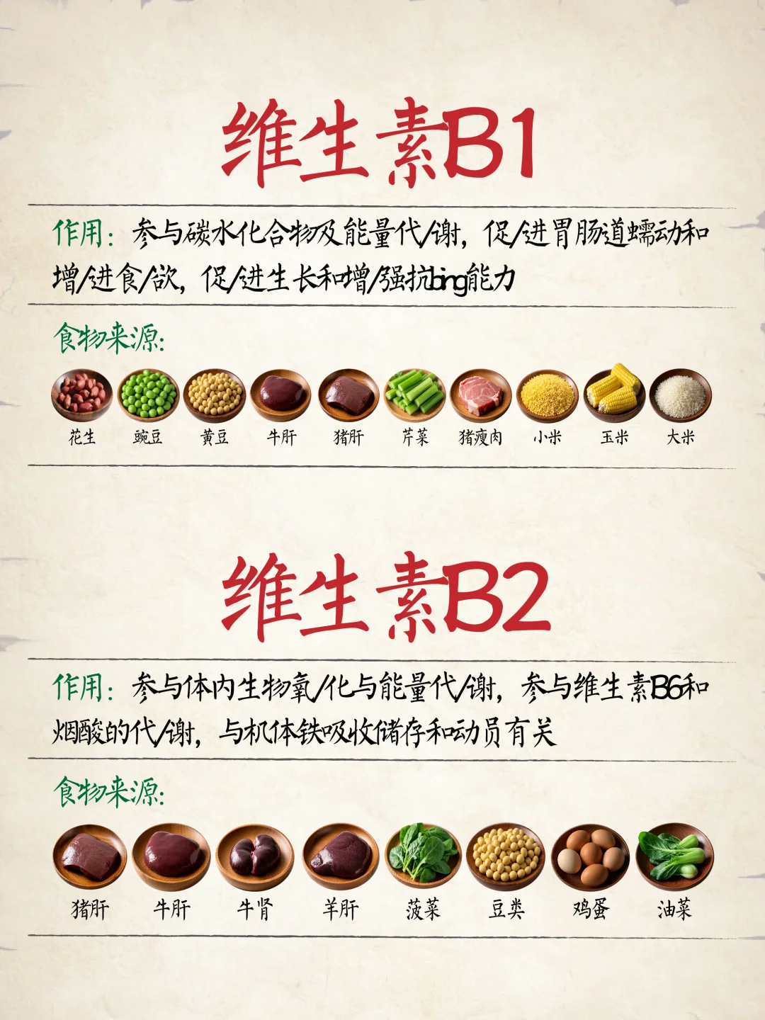 维生素食物补充食物表?建议收藏‼️