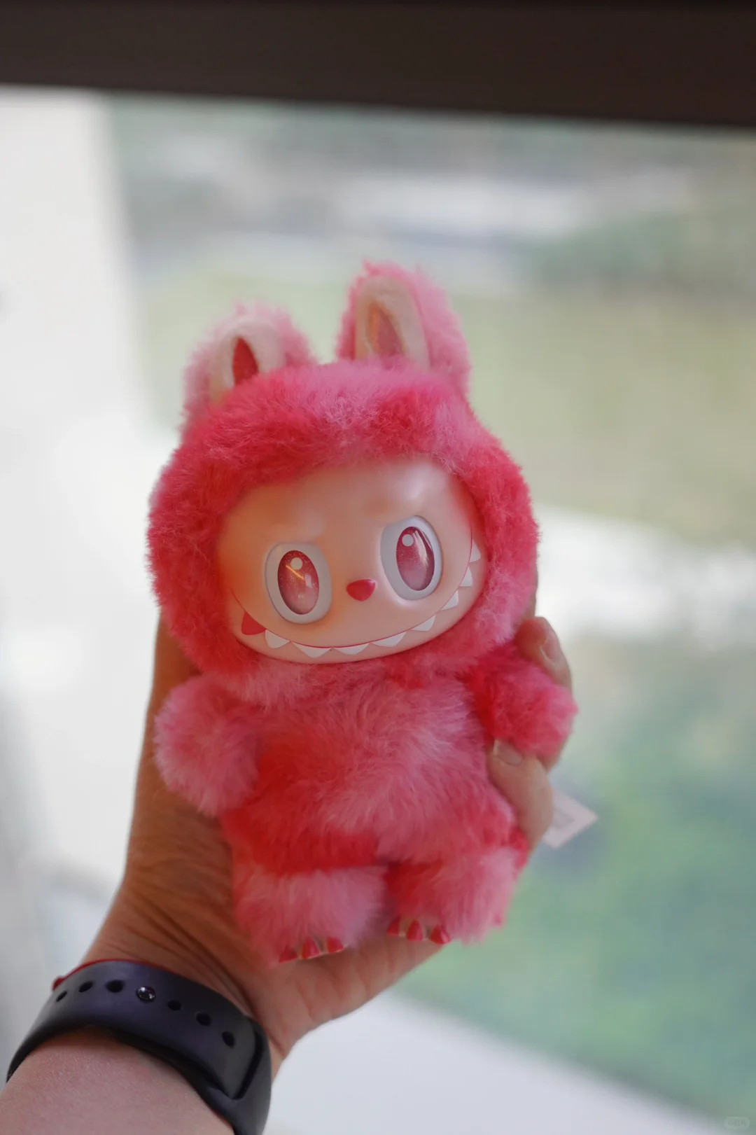 温馨大家庭｜labubu 3.0就位..