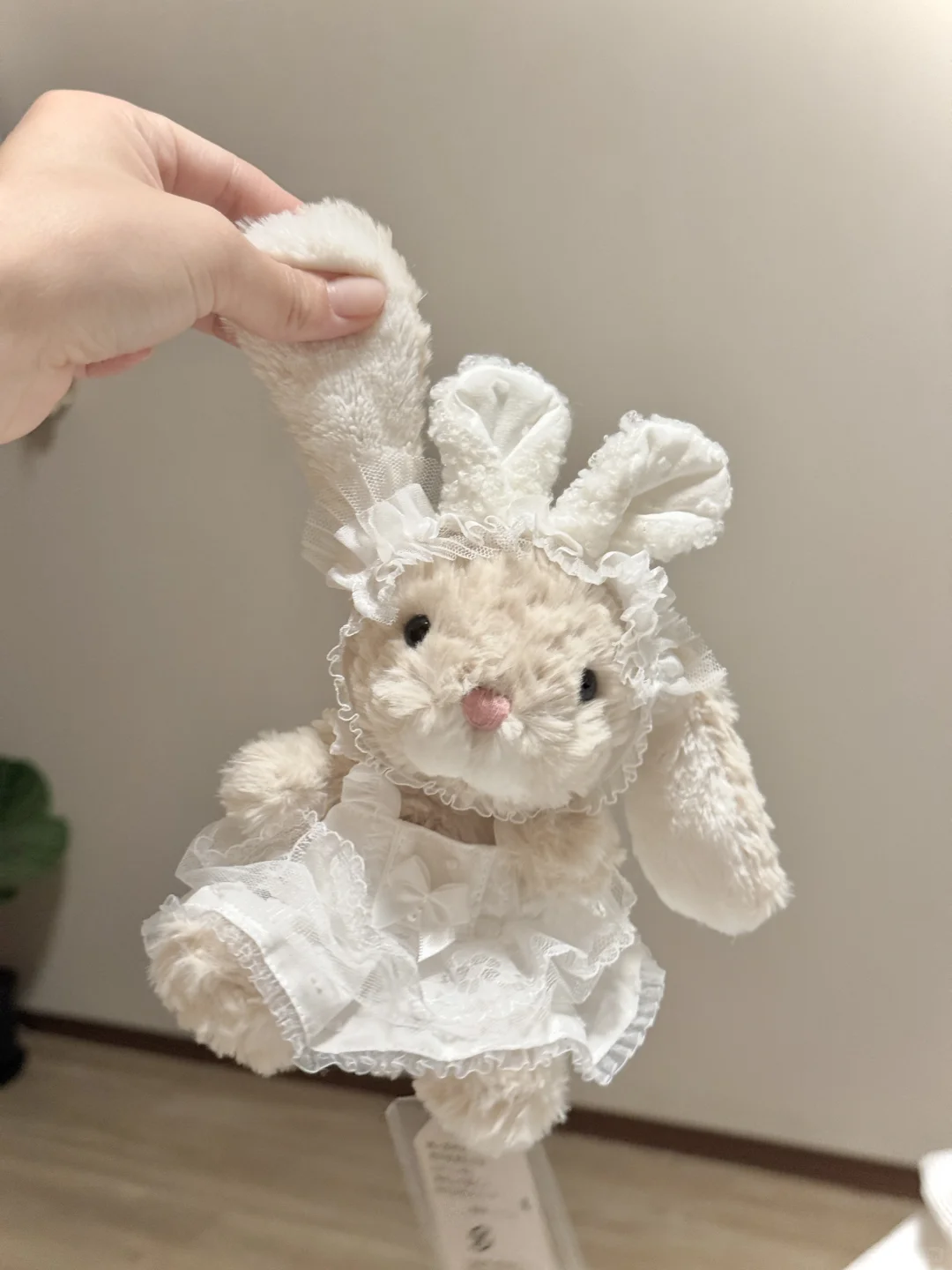 成功拥有了第二只米兔啦