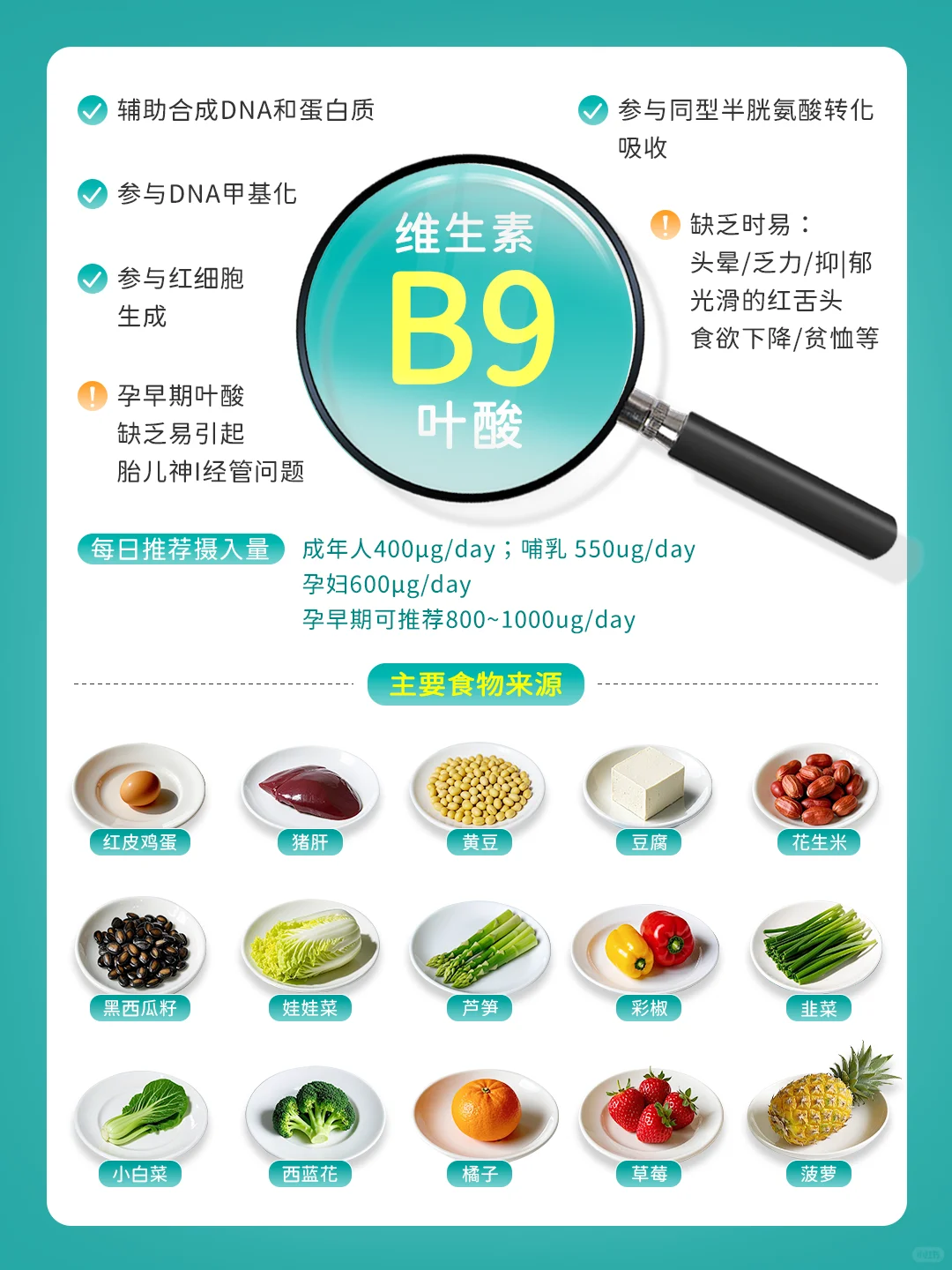 补充维生素B族：吃对食物才能打出完美配合