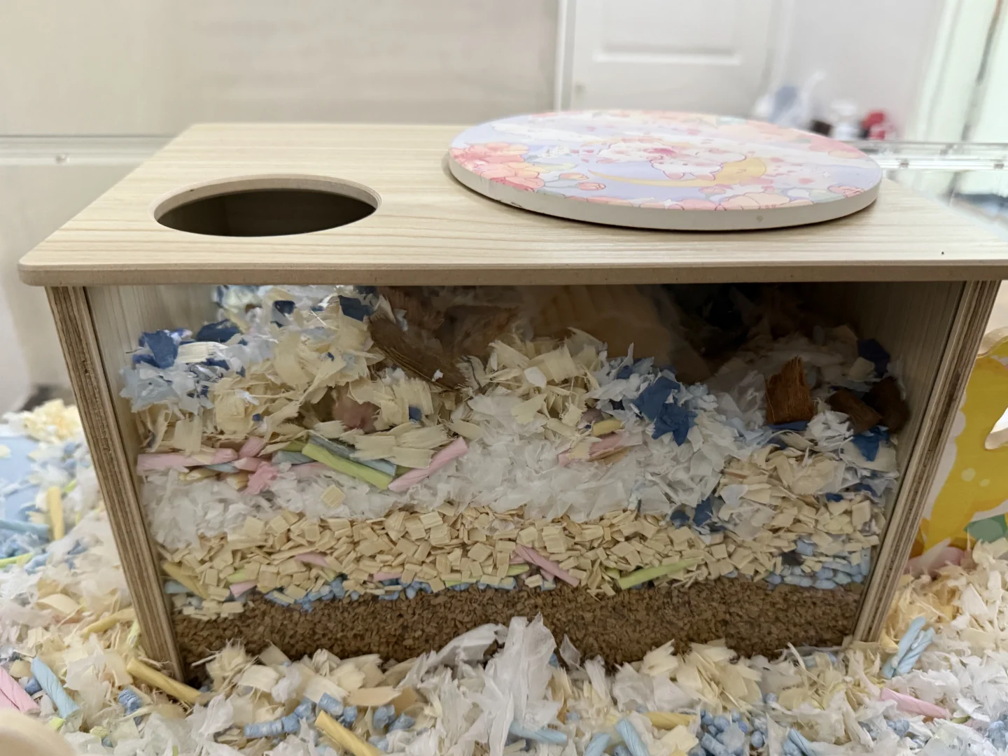 一定要给鼠鼠安排它最爱的挖掘盒玩