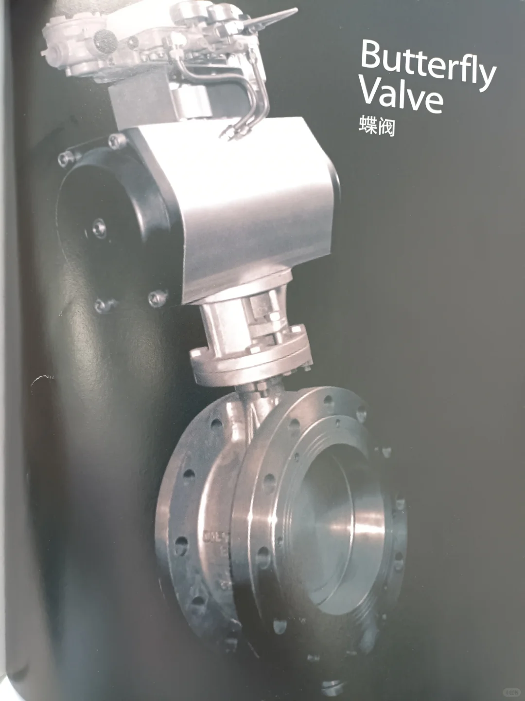 认识阀门100个专业术语‼️