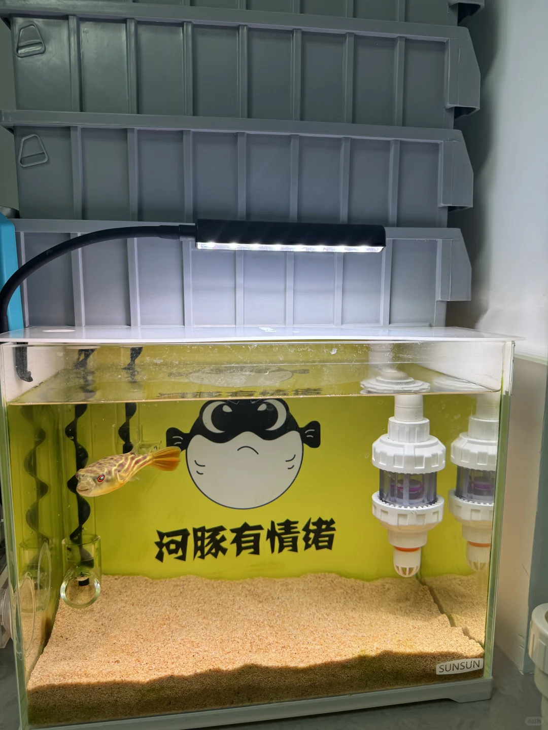 内置水泵上滤滴流盒进水止回阀问题