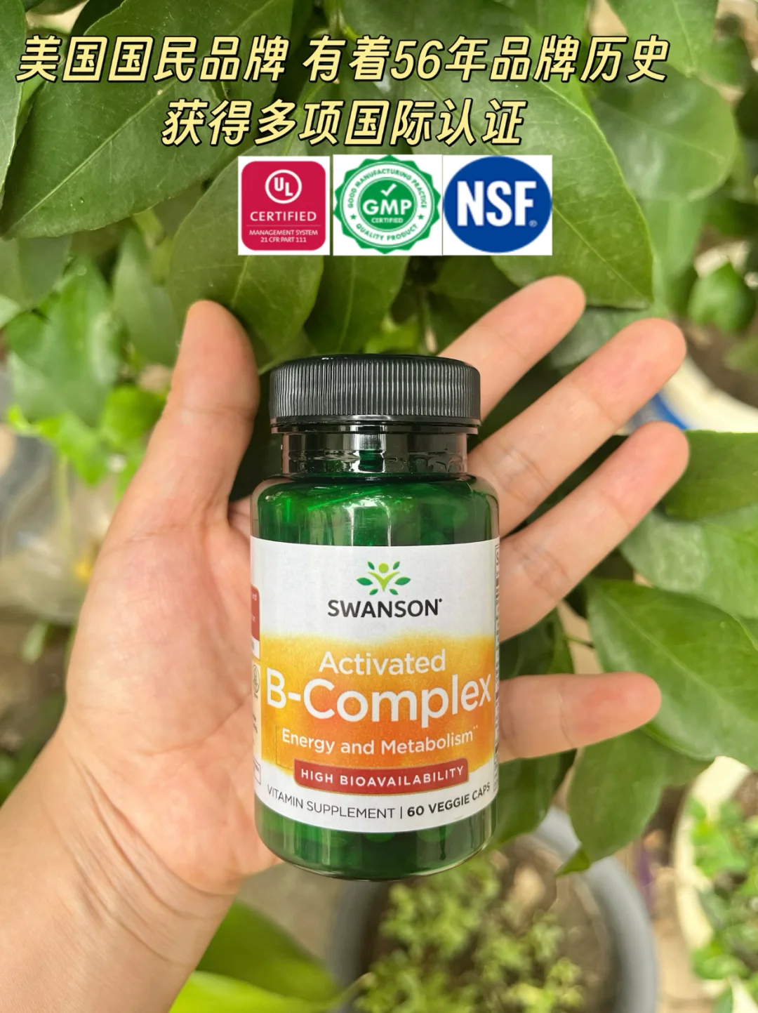 一图看懂B族维生素大家族～