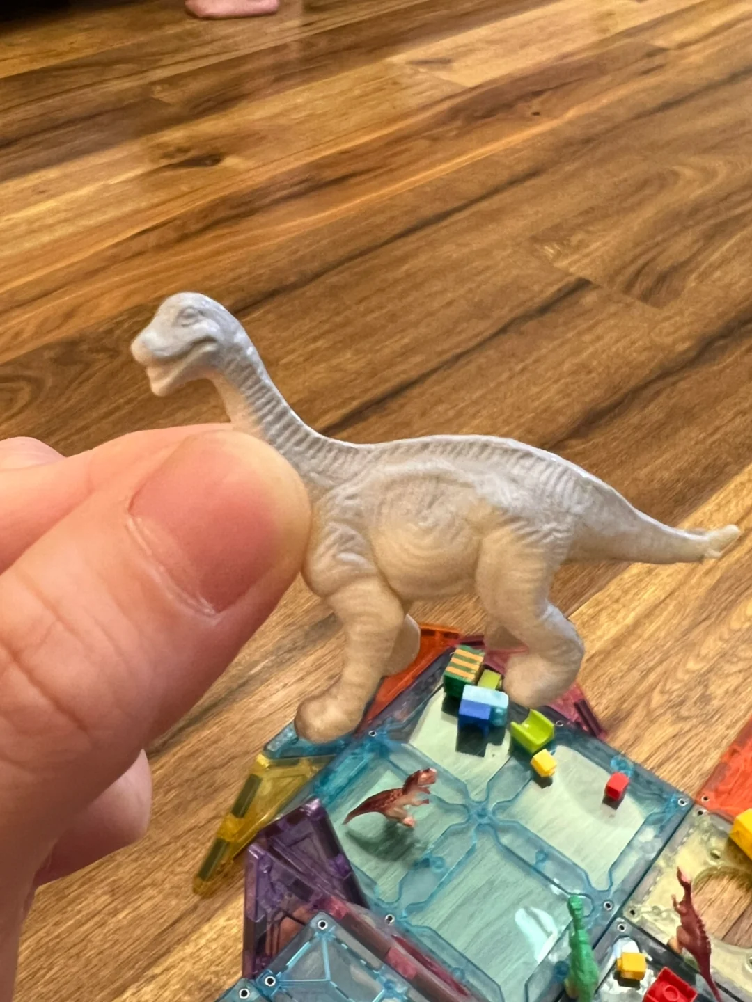 好绝的考古恐龙蛋?硬控小孩哥一小时+❗️