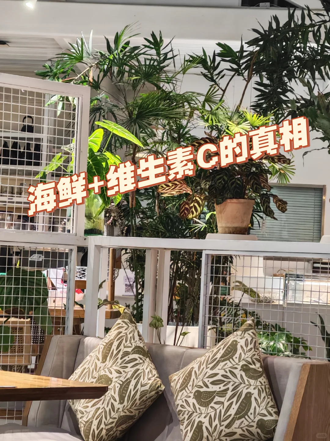 海鲜➕维生素C的真相