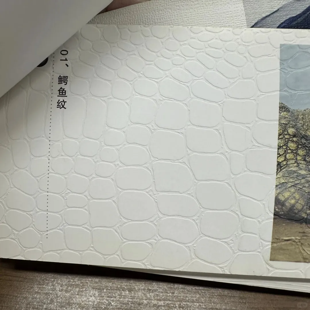 啊？出书封面印刷有定式参考？