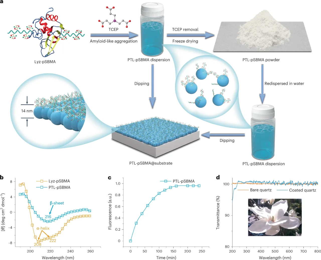 ✨简直是懒人福音！衣物自己干净?