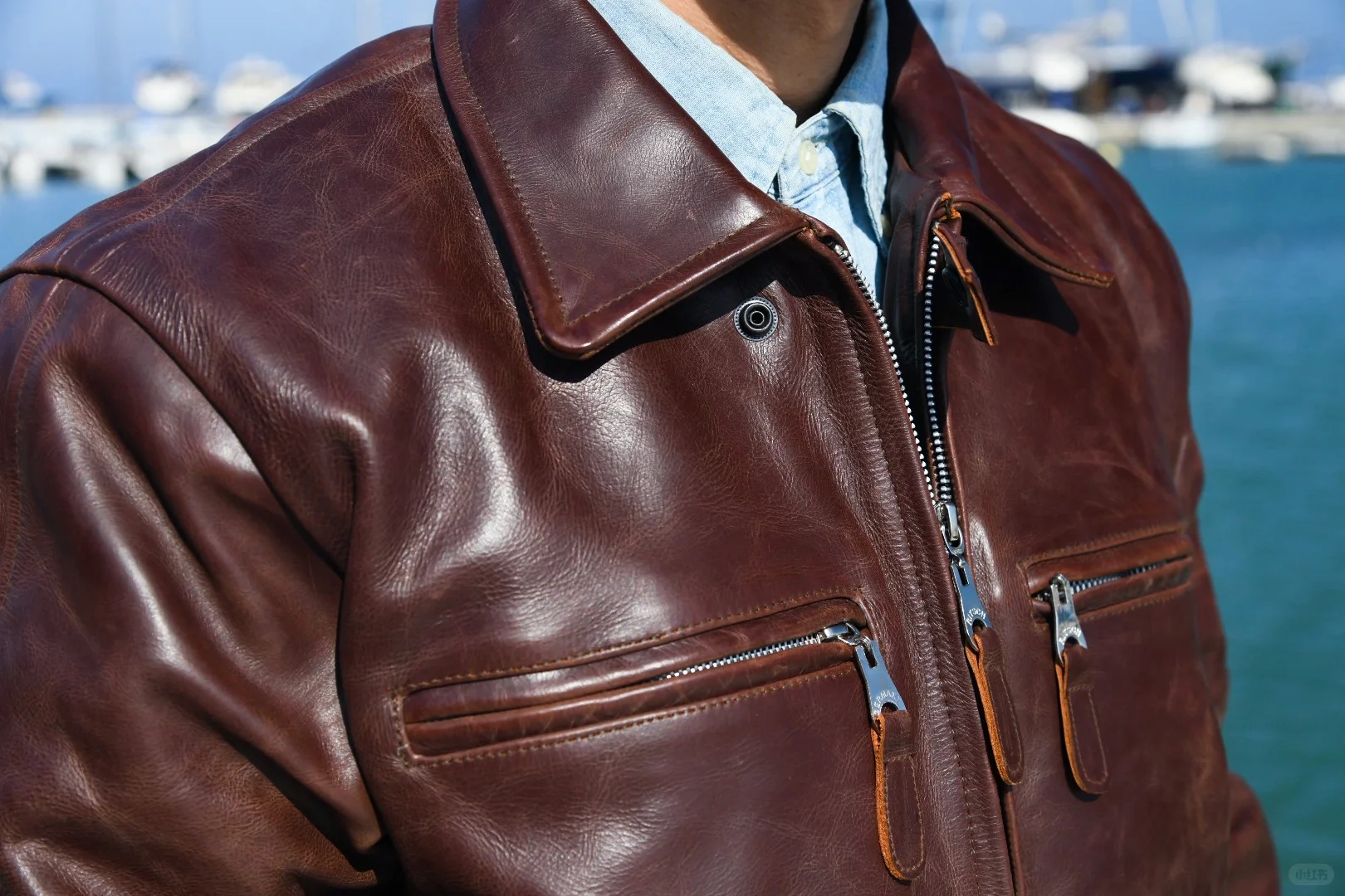 阳光下的 BF109红棕色马皮