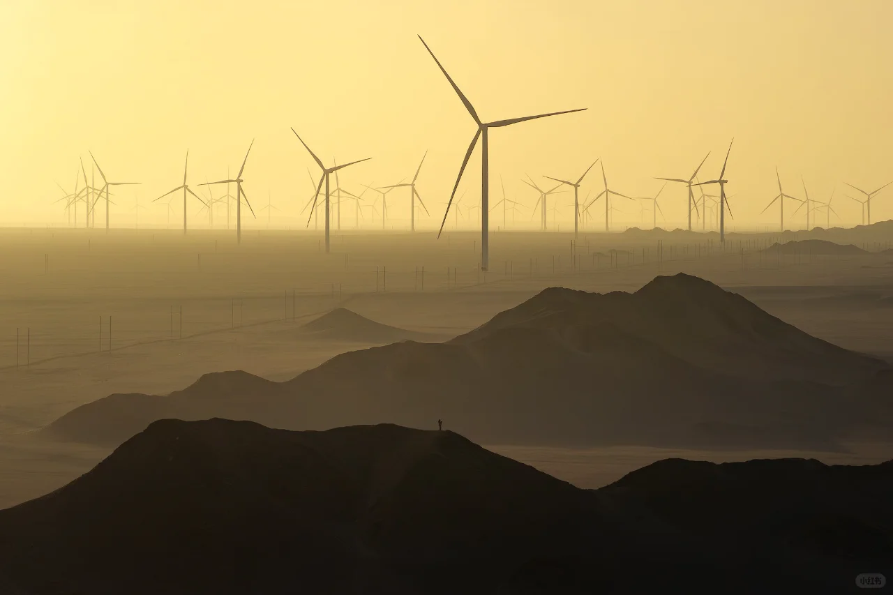 「能源之光」丨官方影展