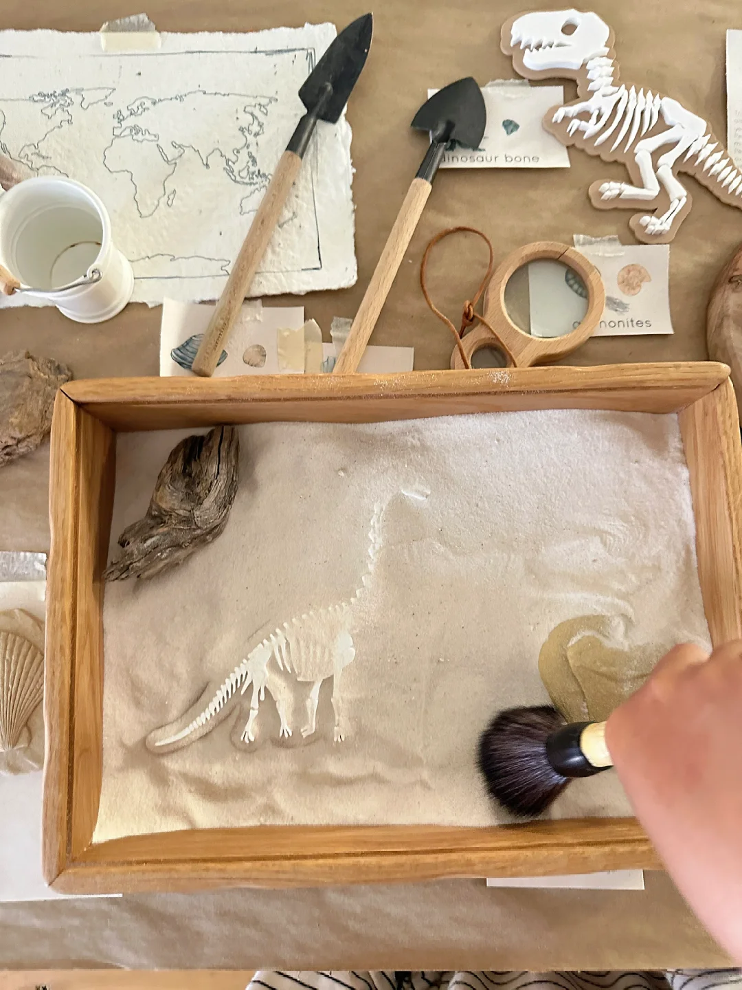 ??????| 在家挖化石之考古感官盒2