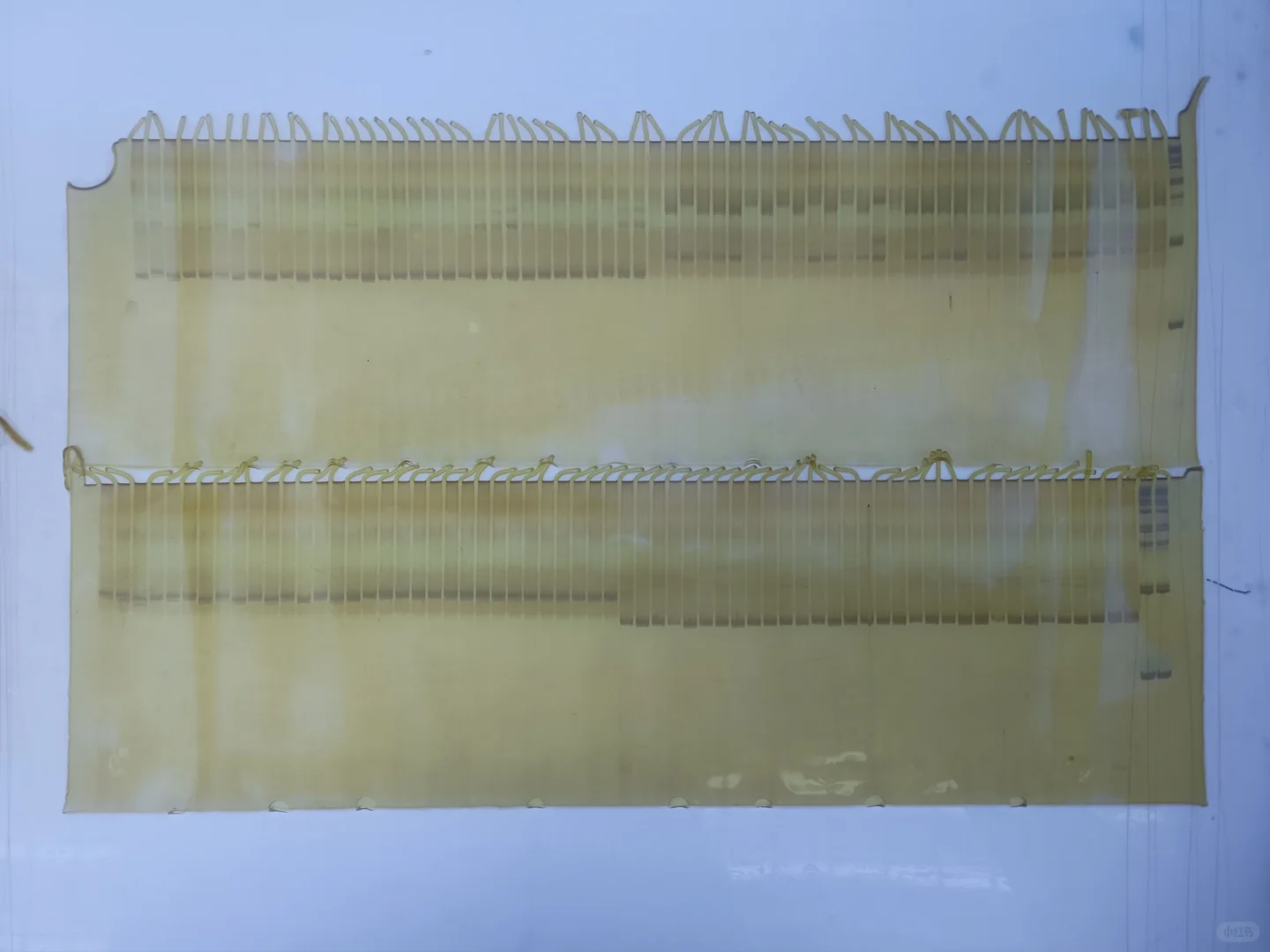 聚丙烯凝胶电泳