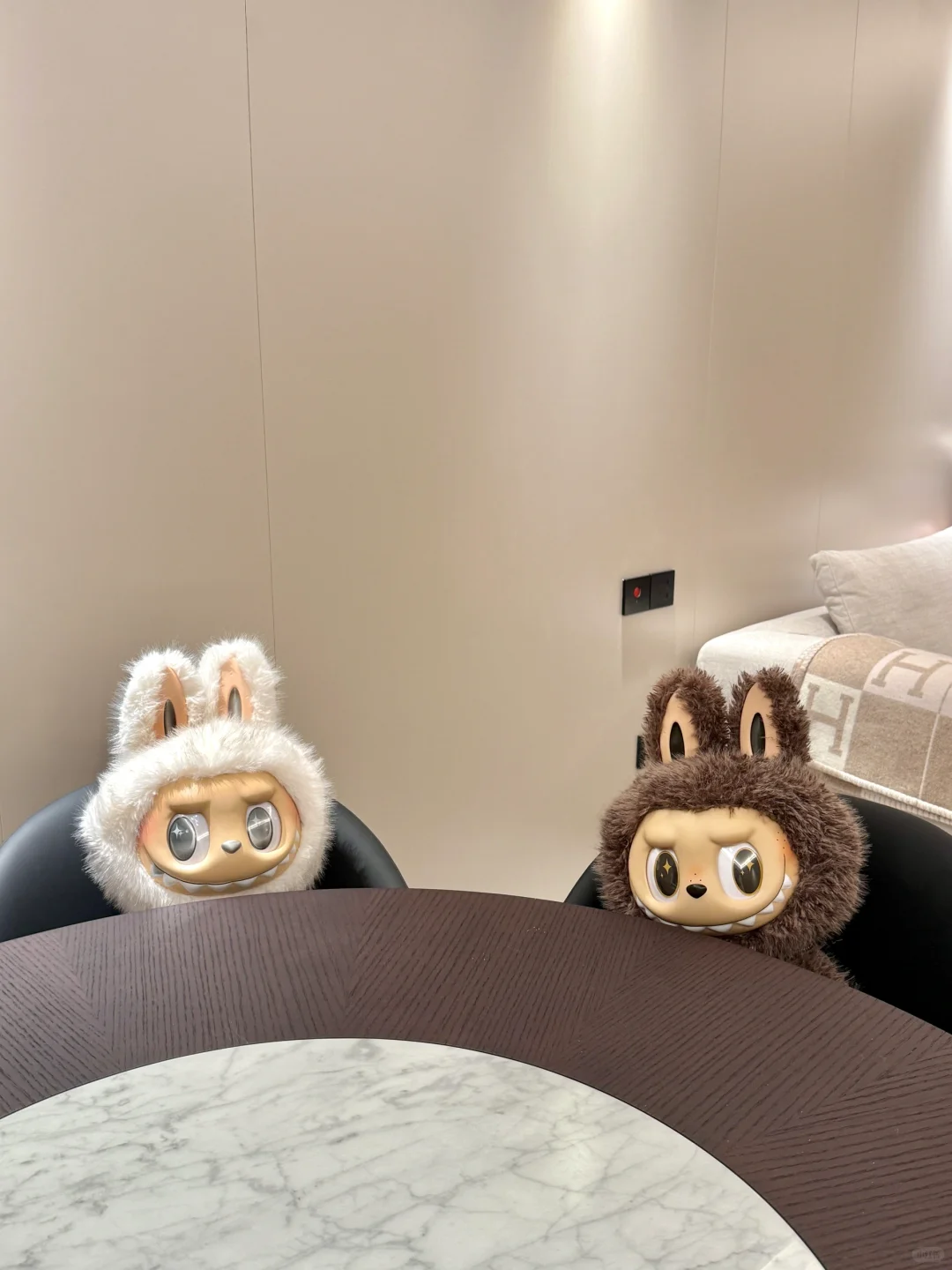 大首领：人 新家我先替你住了！